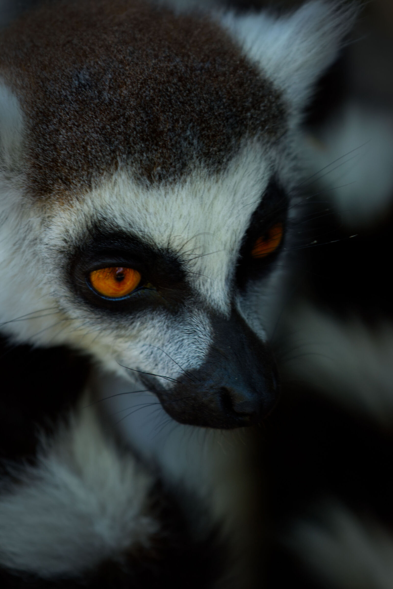 Questione di sguardi