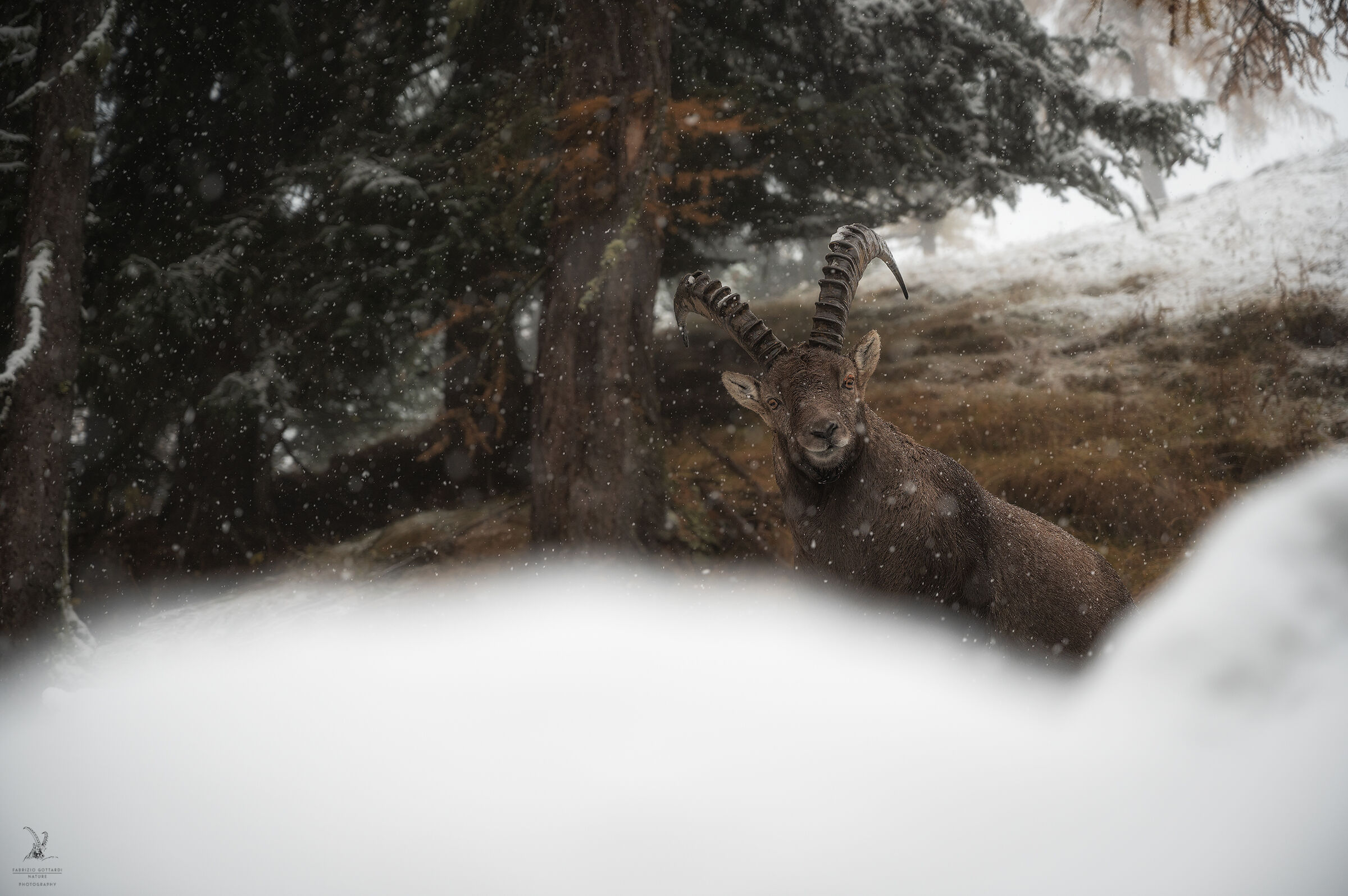 Relax under the first snow