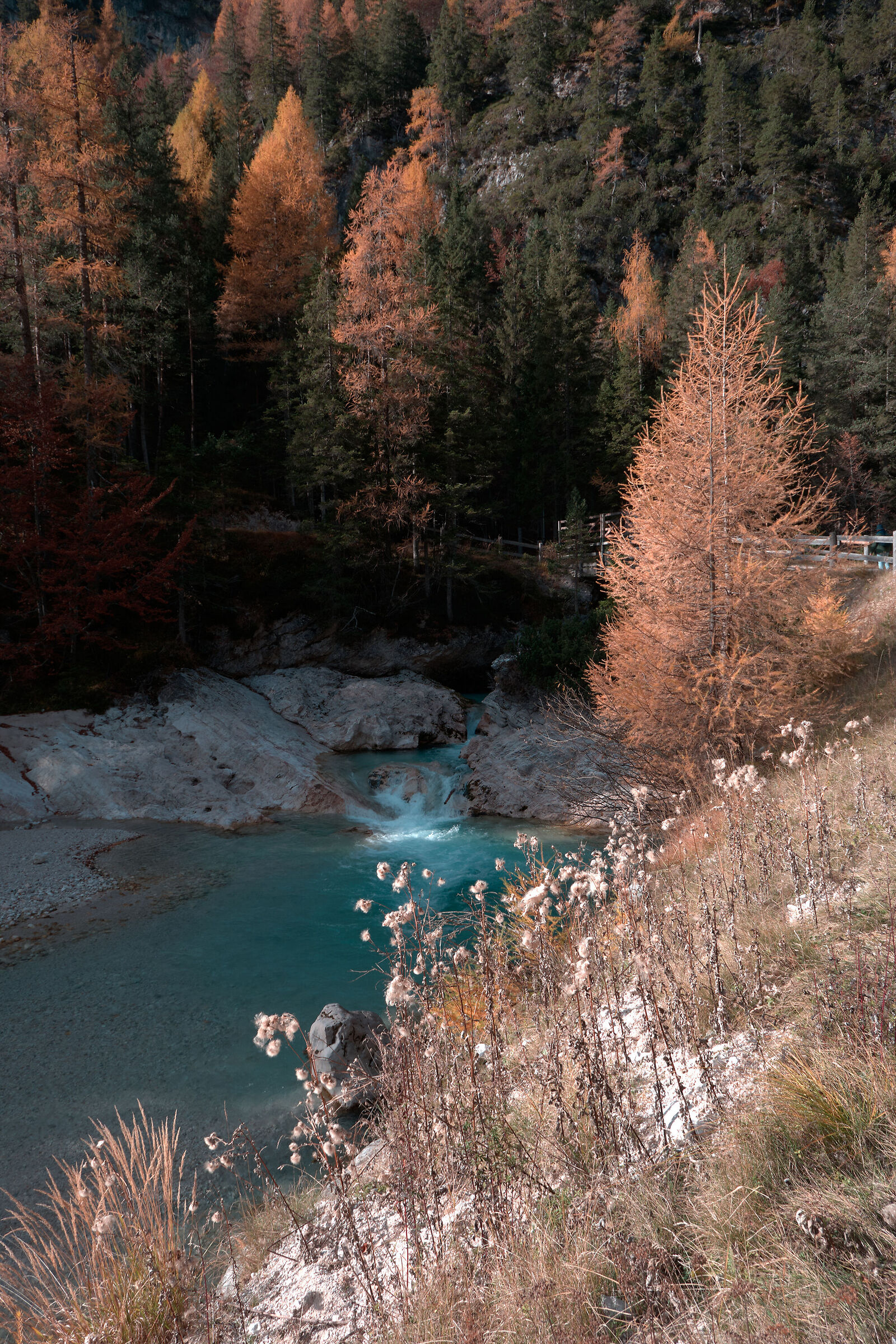 Try Fuji RAW