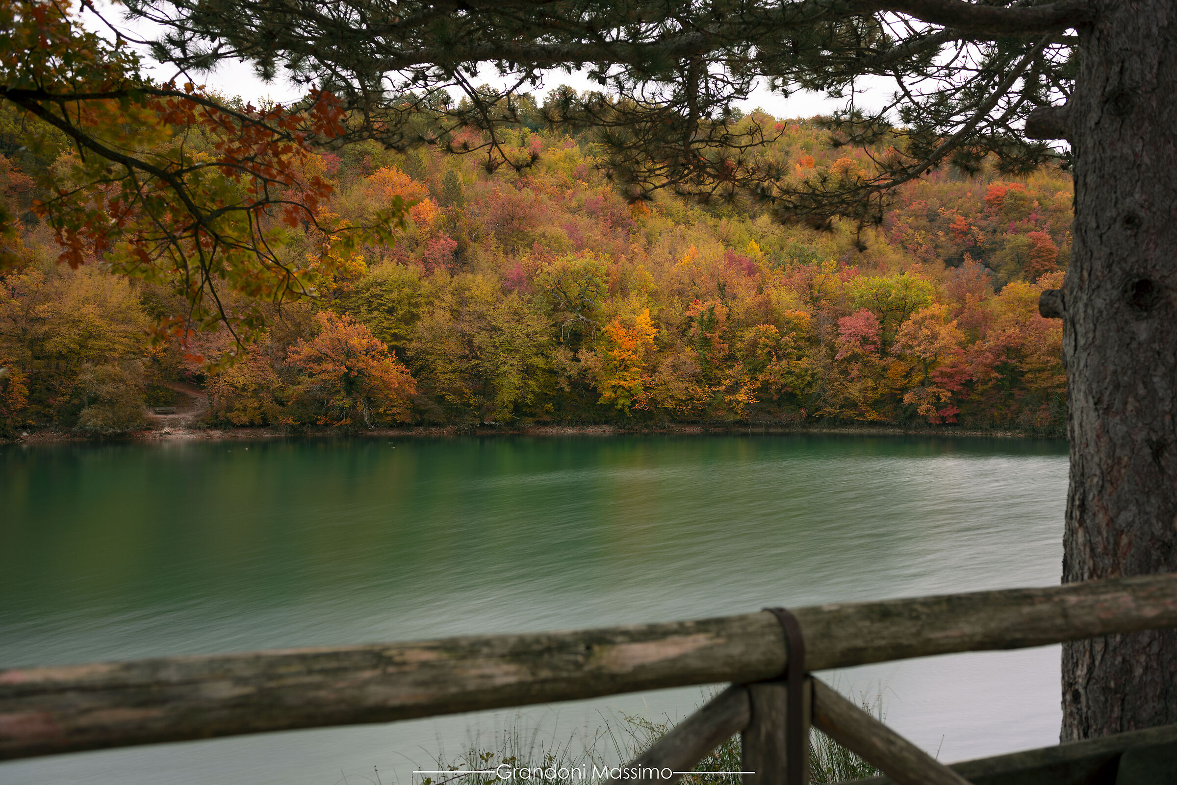 Autumn Brushstrokes 1