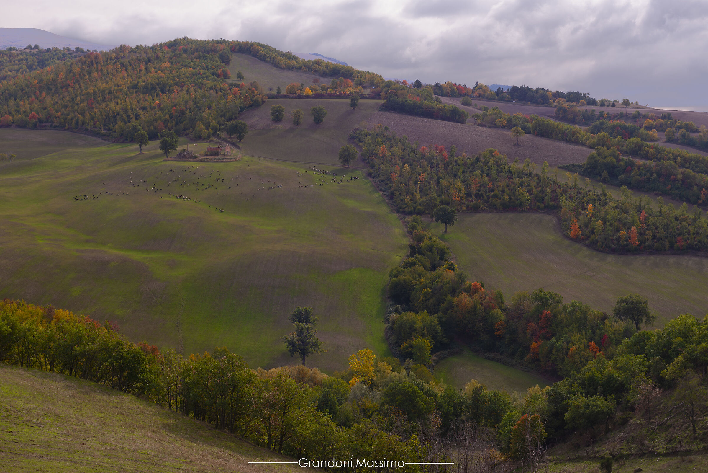Autumn Brushstrokes 1
