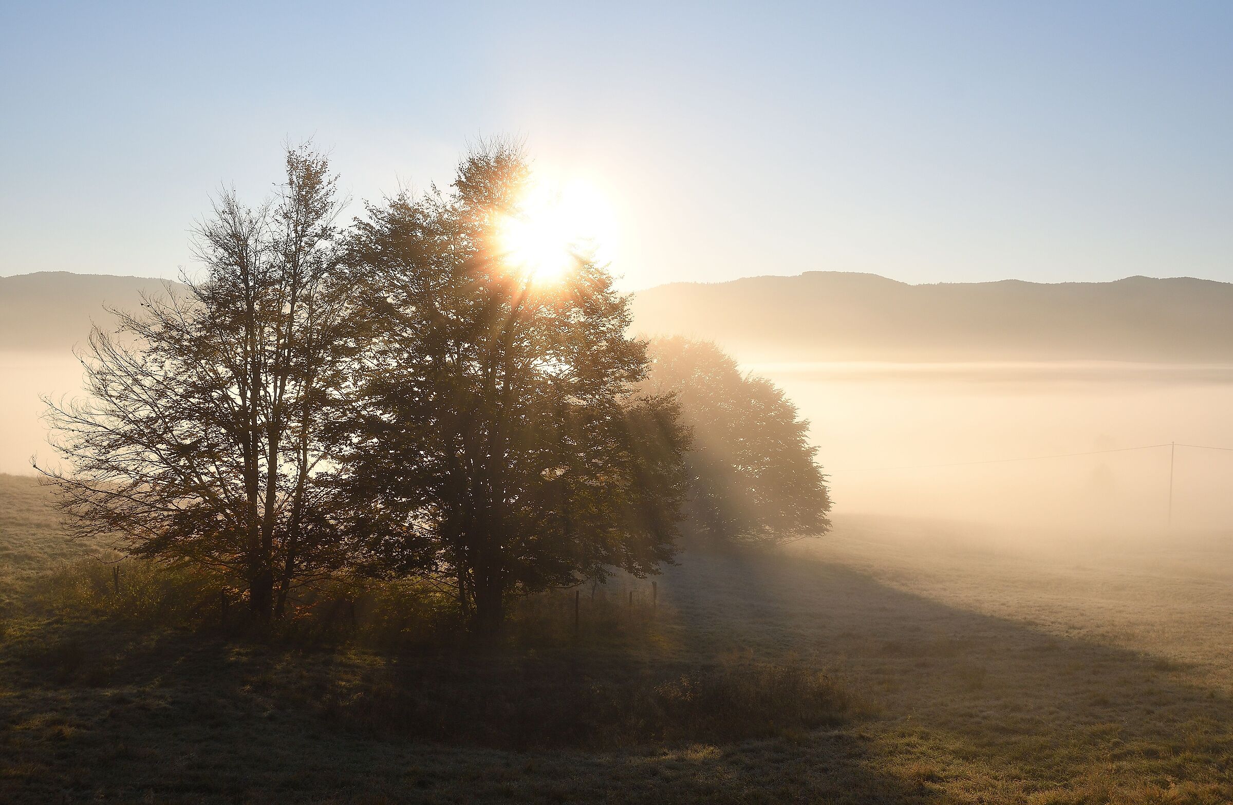 autumn sunrise