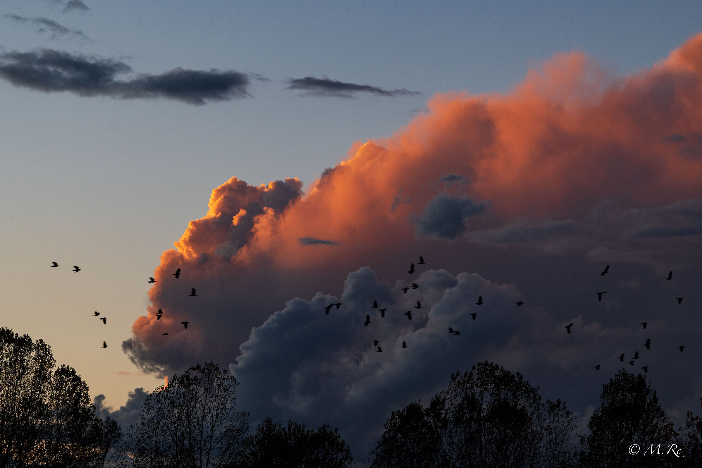 Birds and clouds