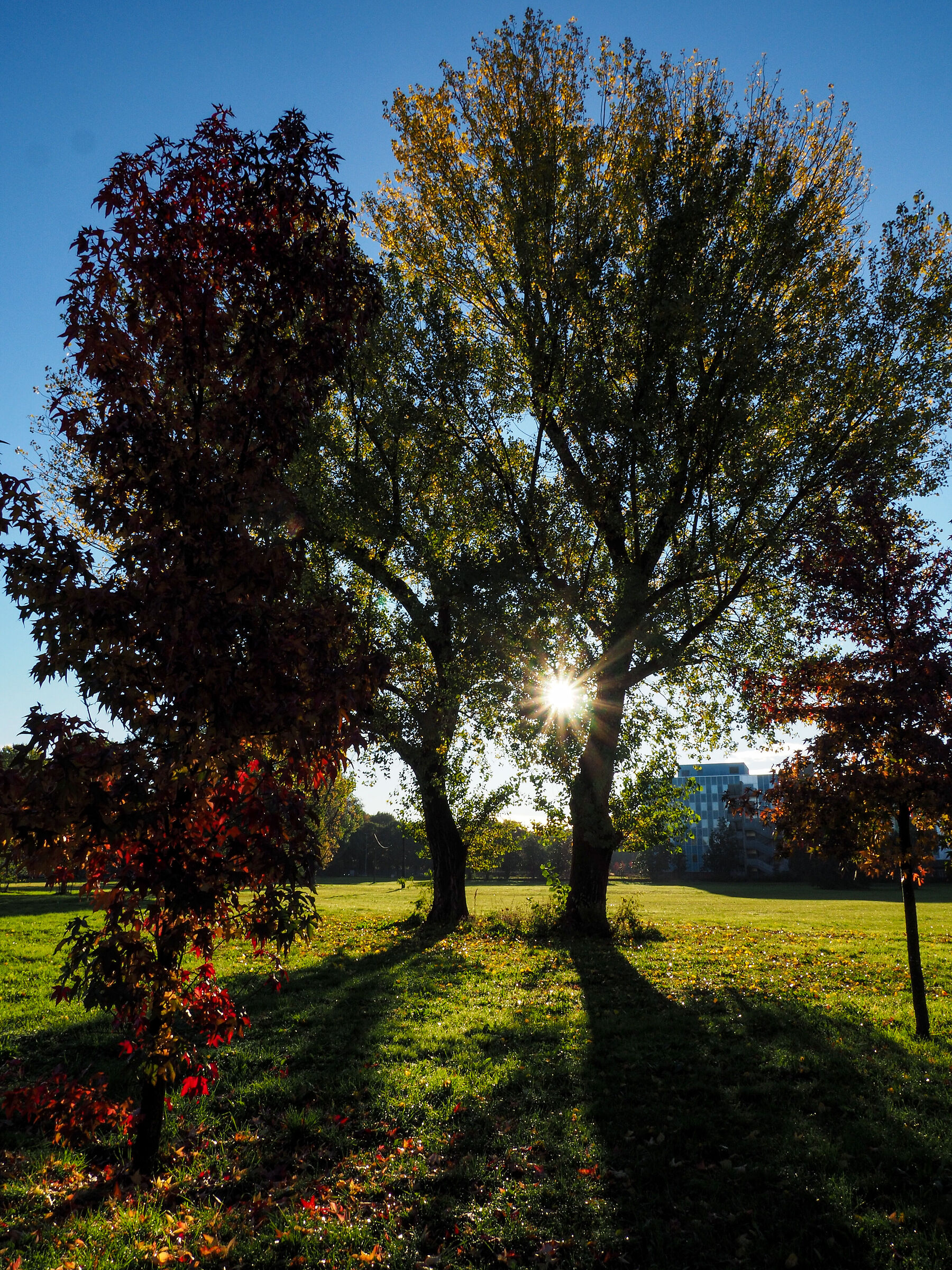Autunno