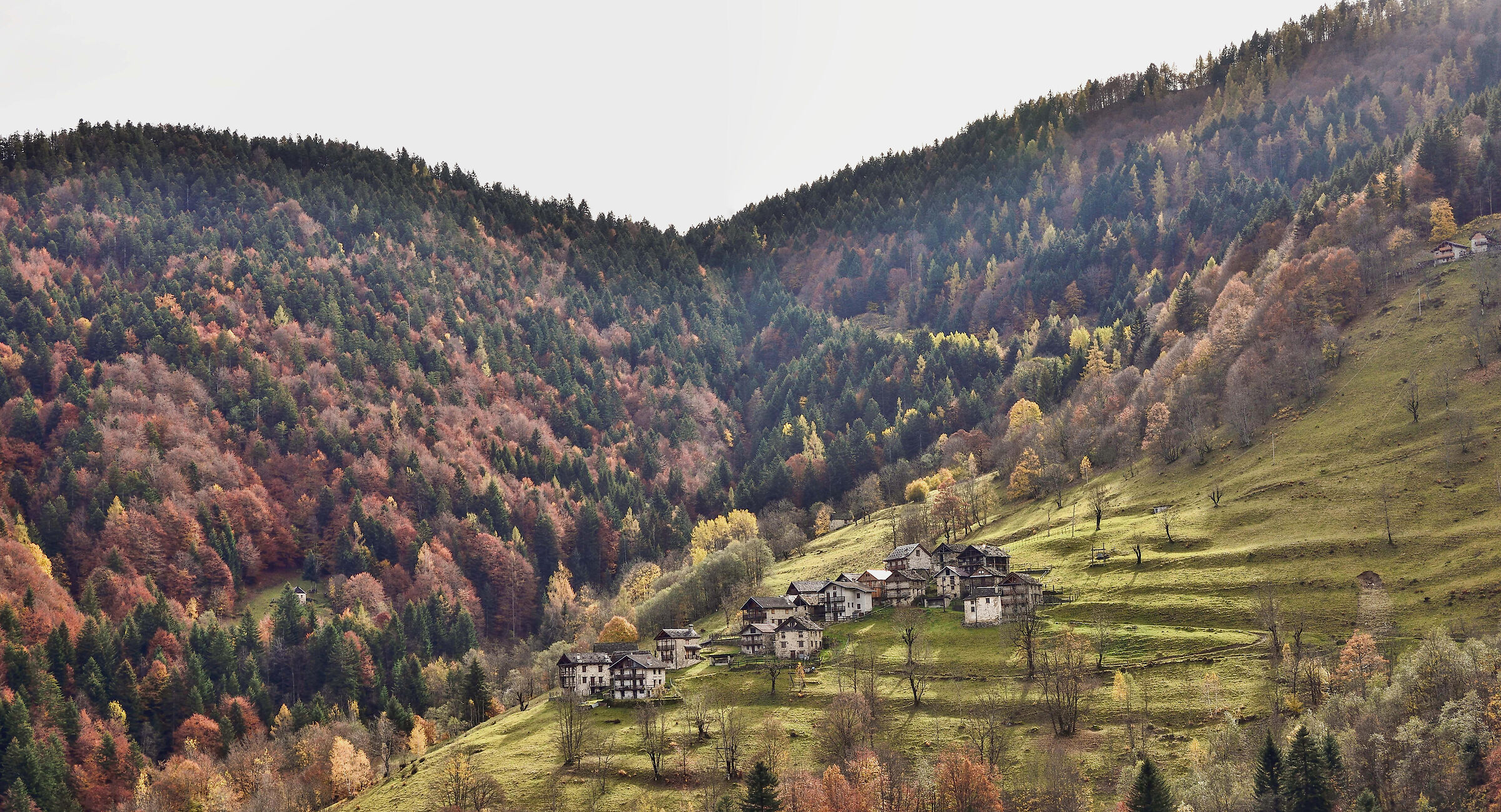 autunno 2020 Val Mastallone