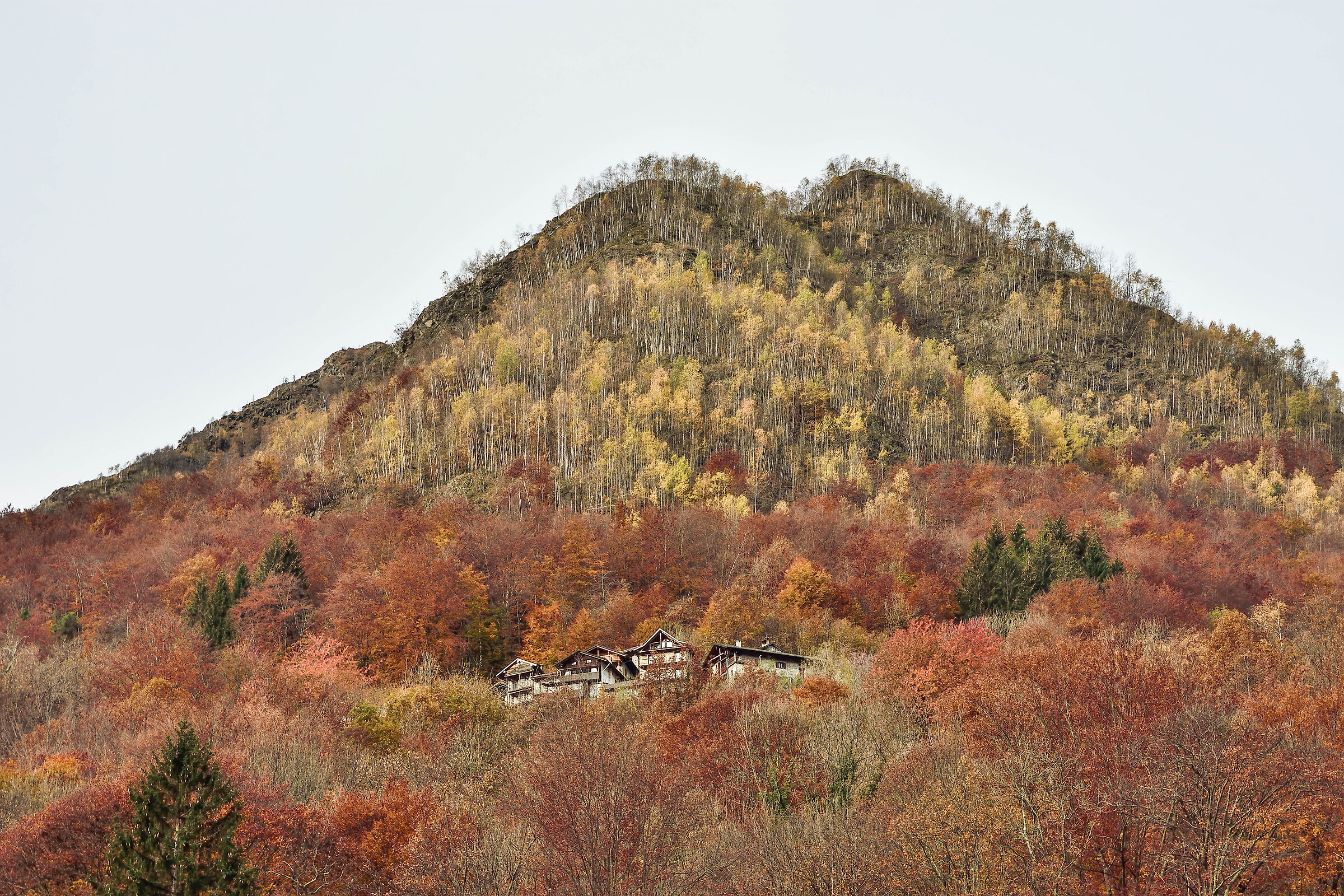 autunno 2020 Val Mastallone