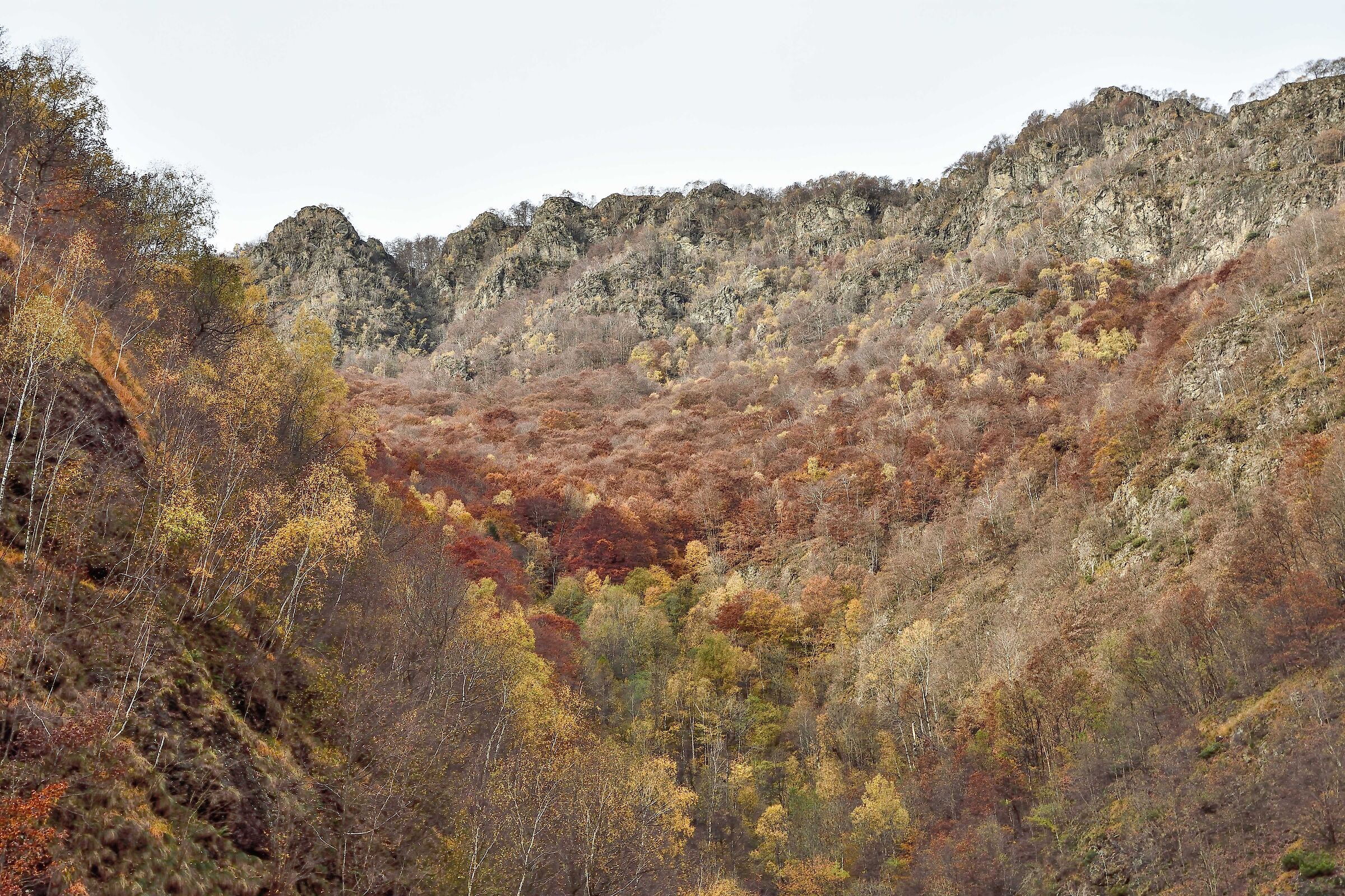 autunno 2020 Val Mastallone