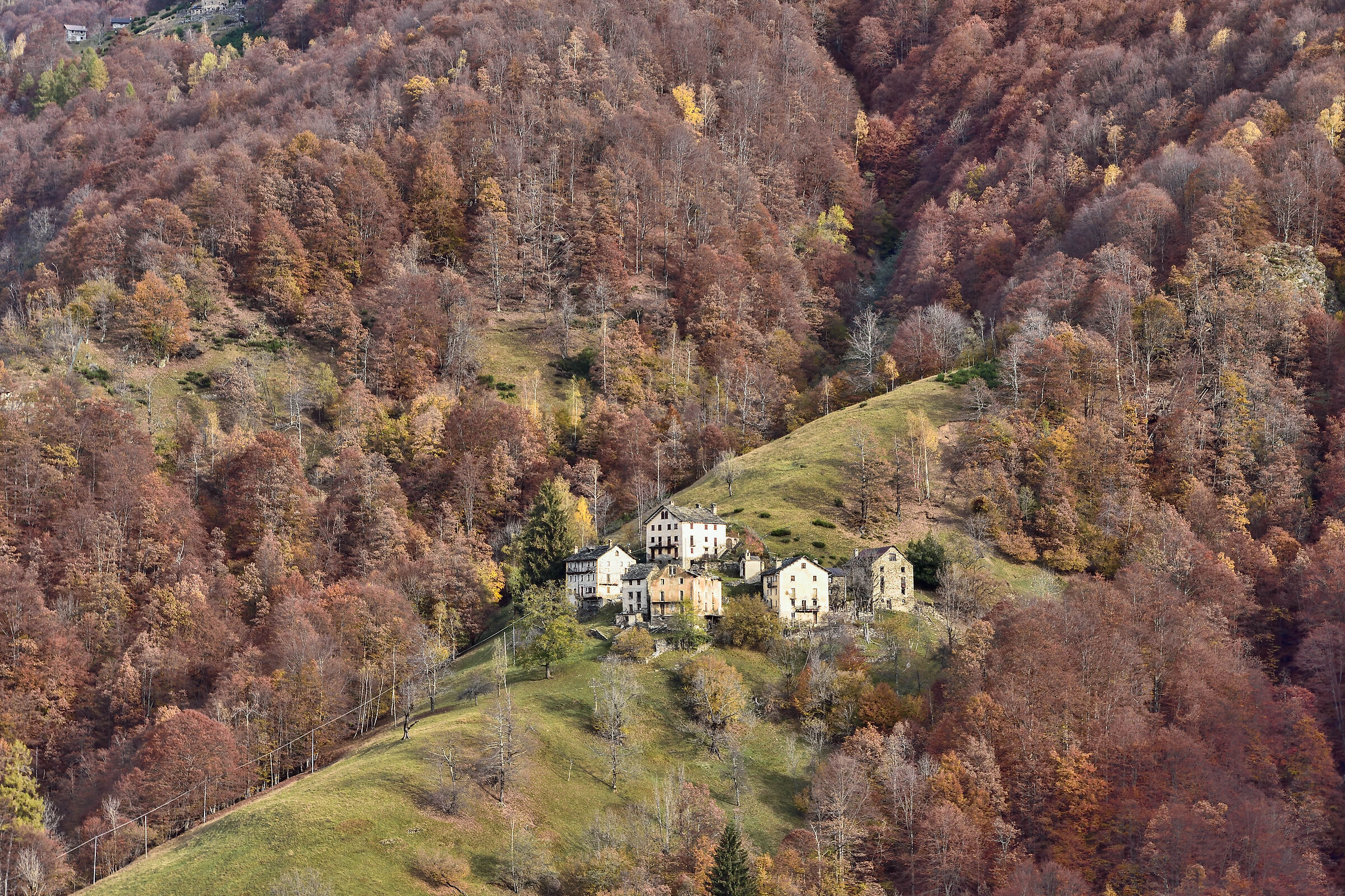 autunno 2020 Val Mastallone