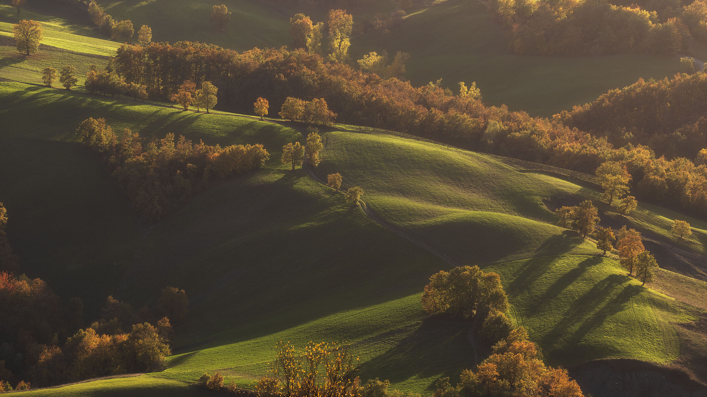 Colline Reggiane