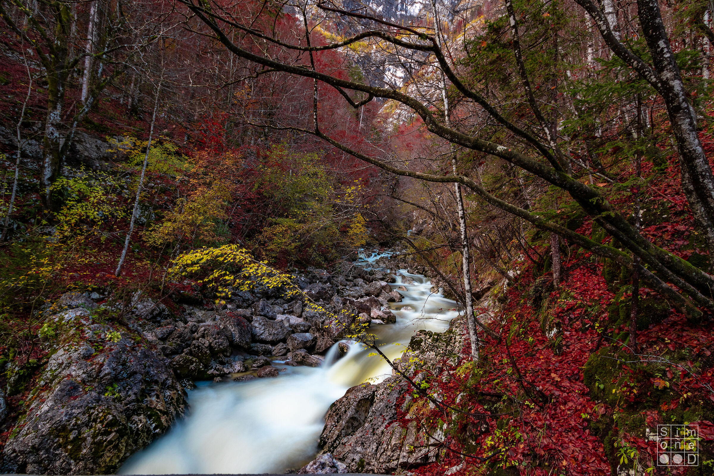Sava Bohinjka