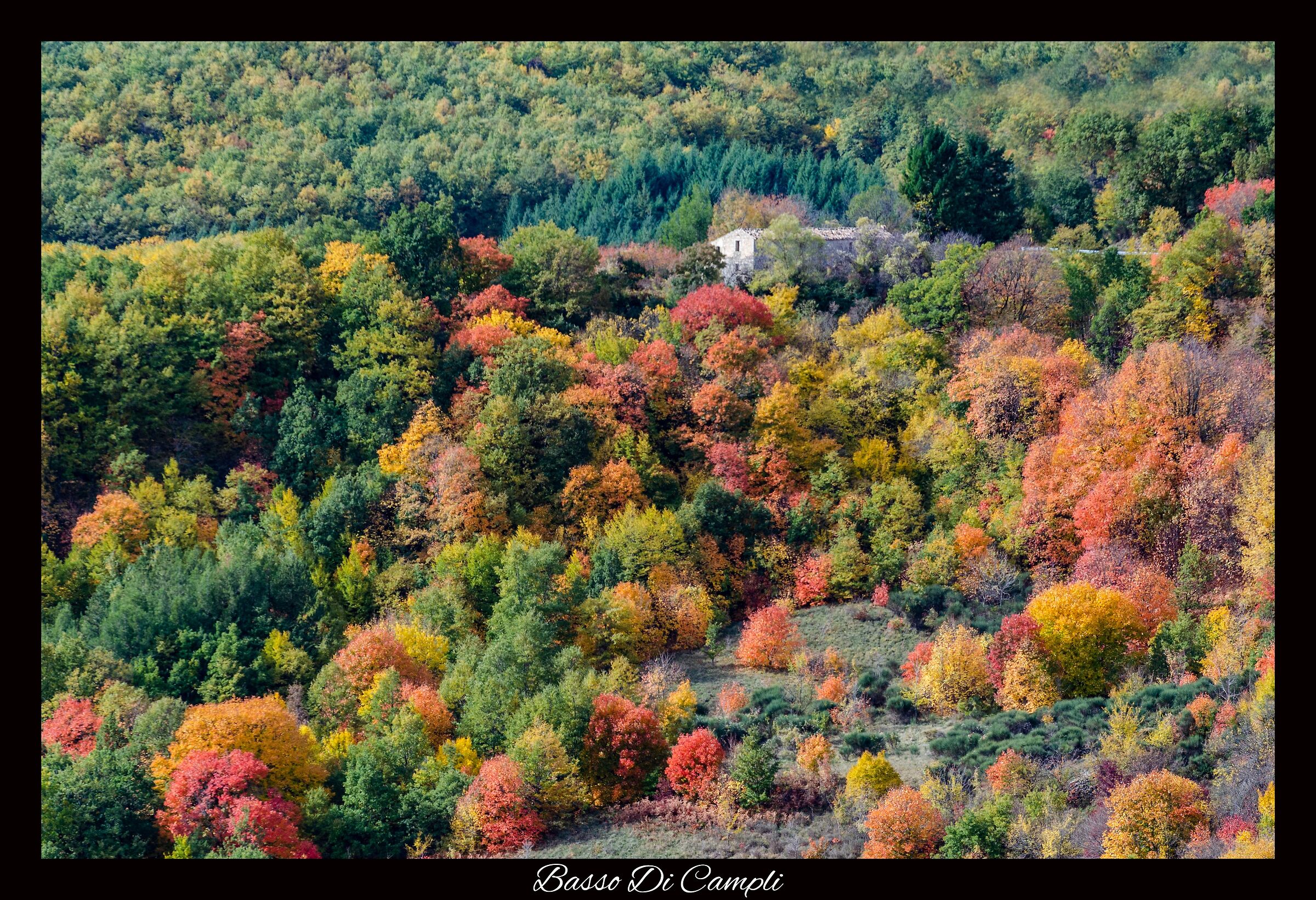 Esplosione di colori