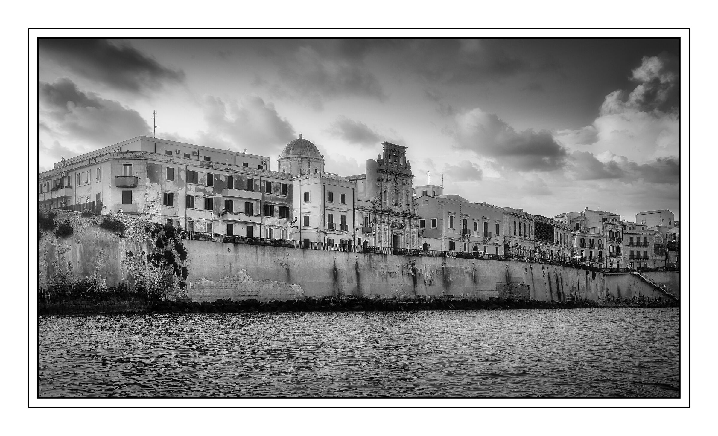 Ortigia bn