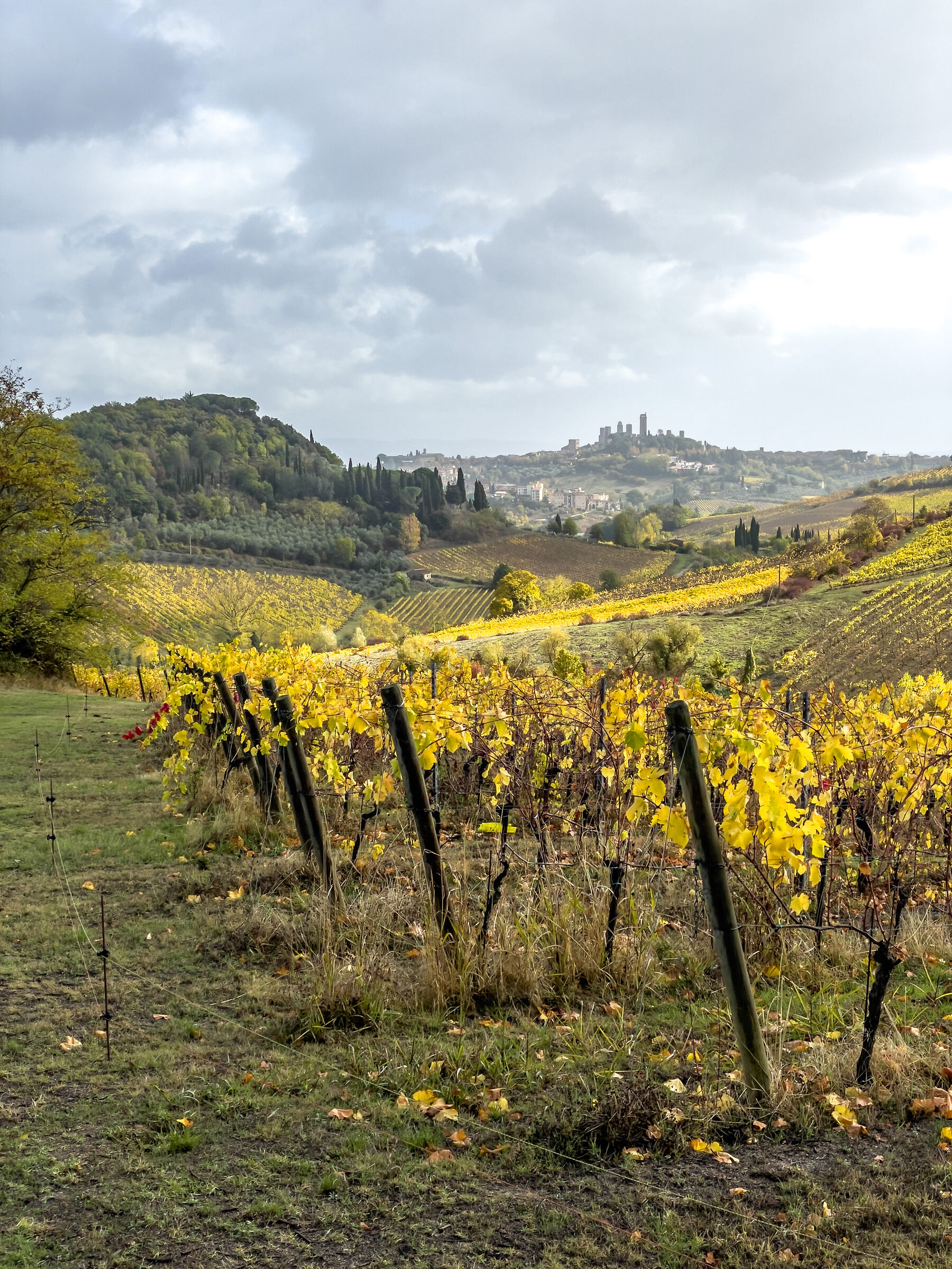 Toscana in Ottobre 2