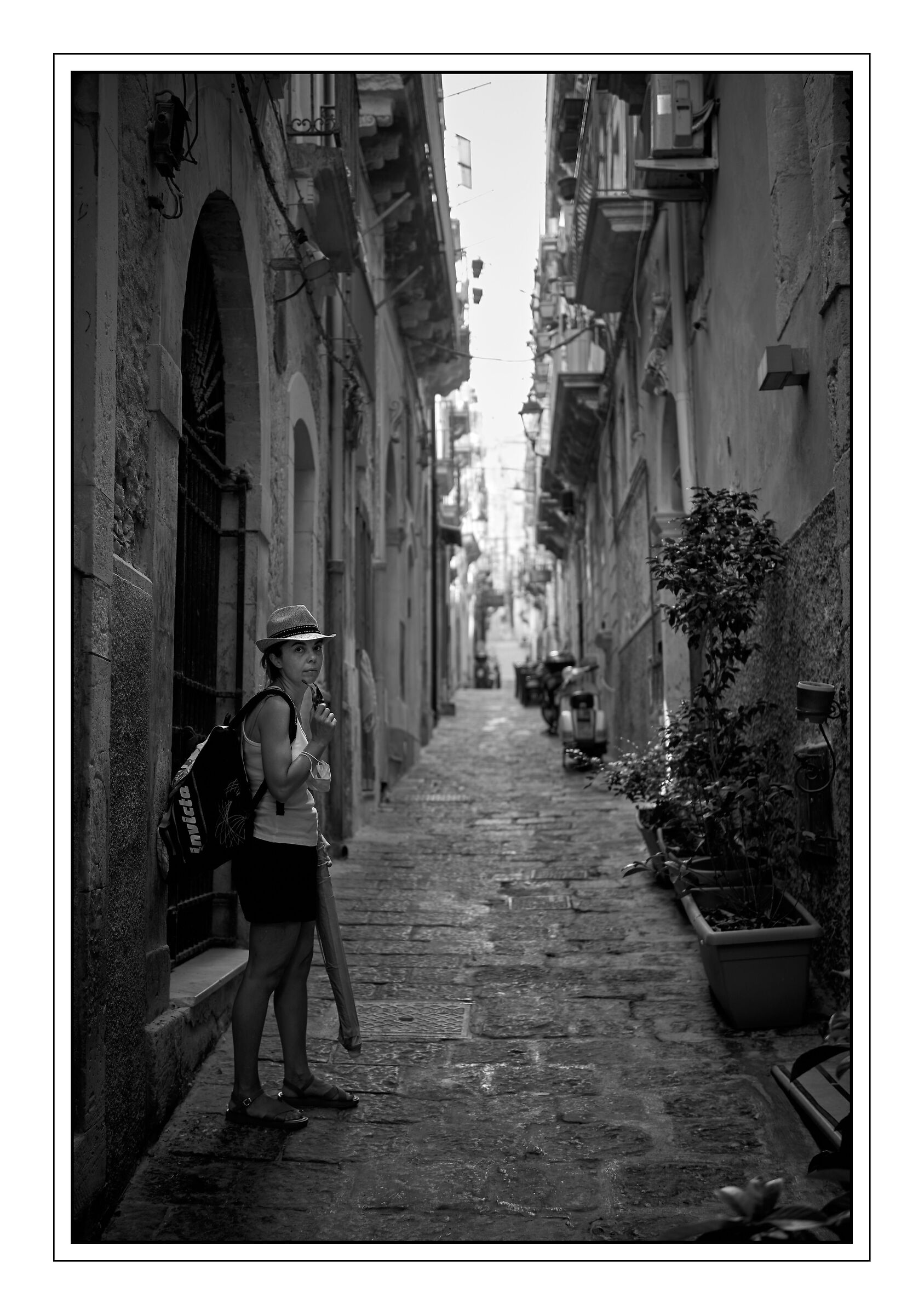 Ortigia bn
