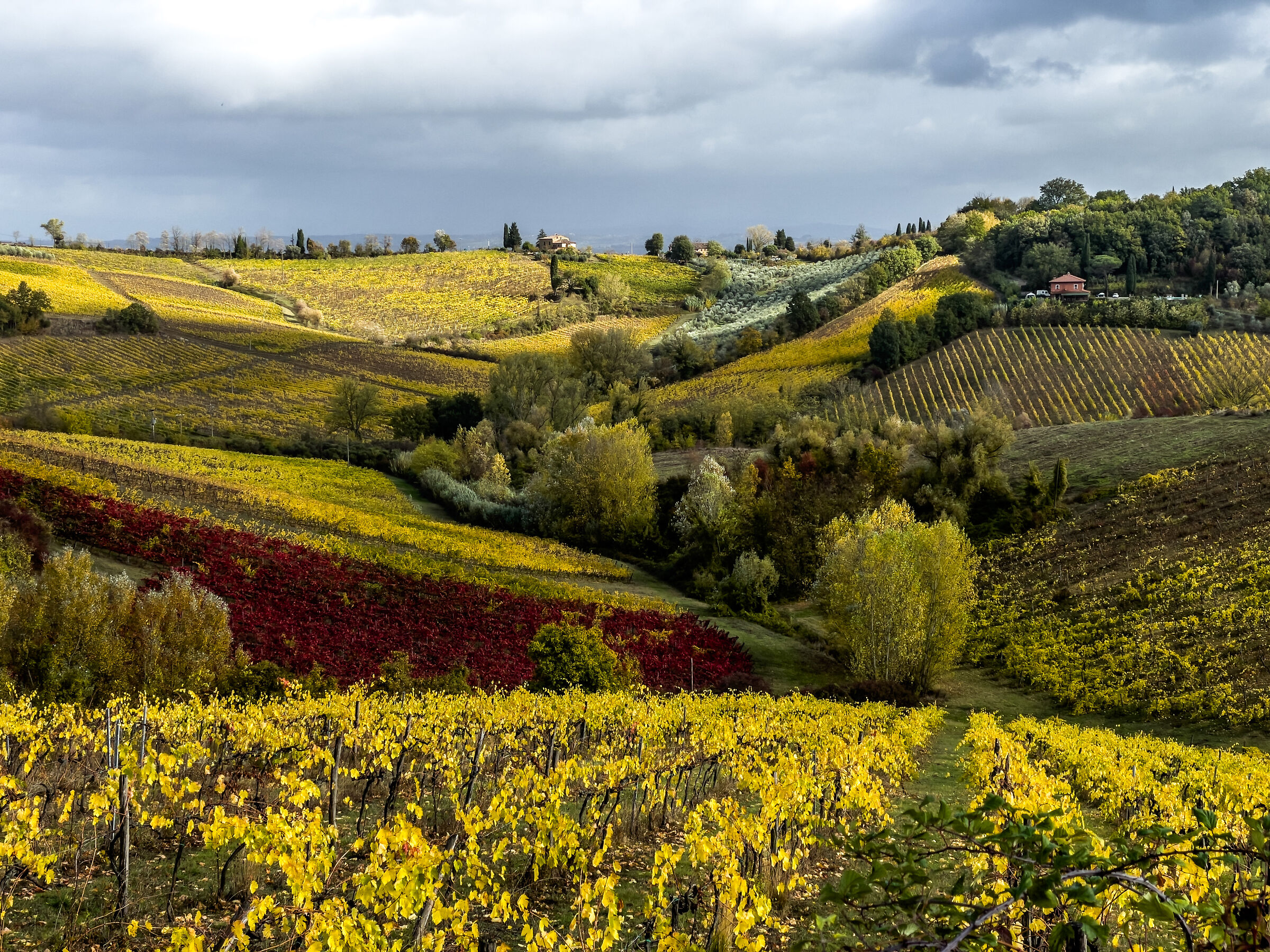 Toscana in Ottobre 3