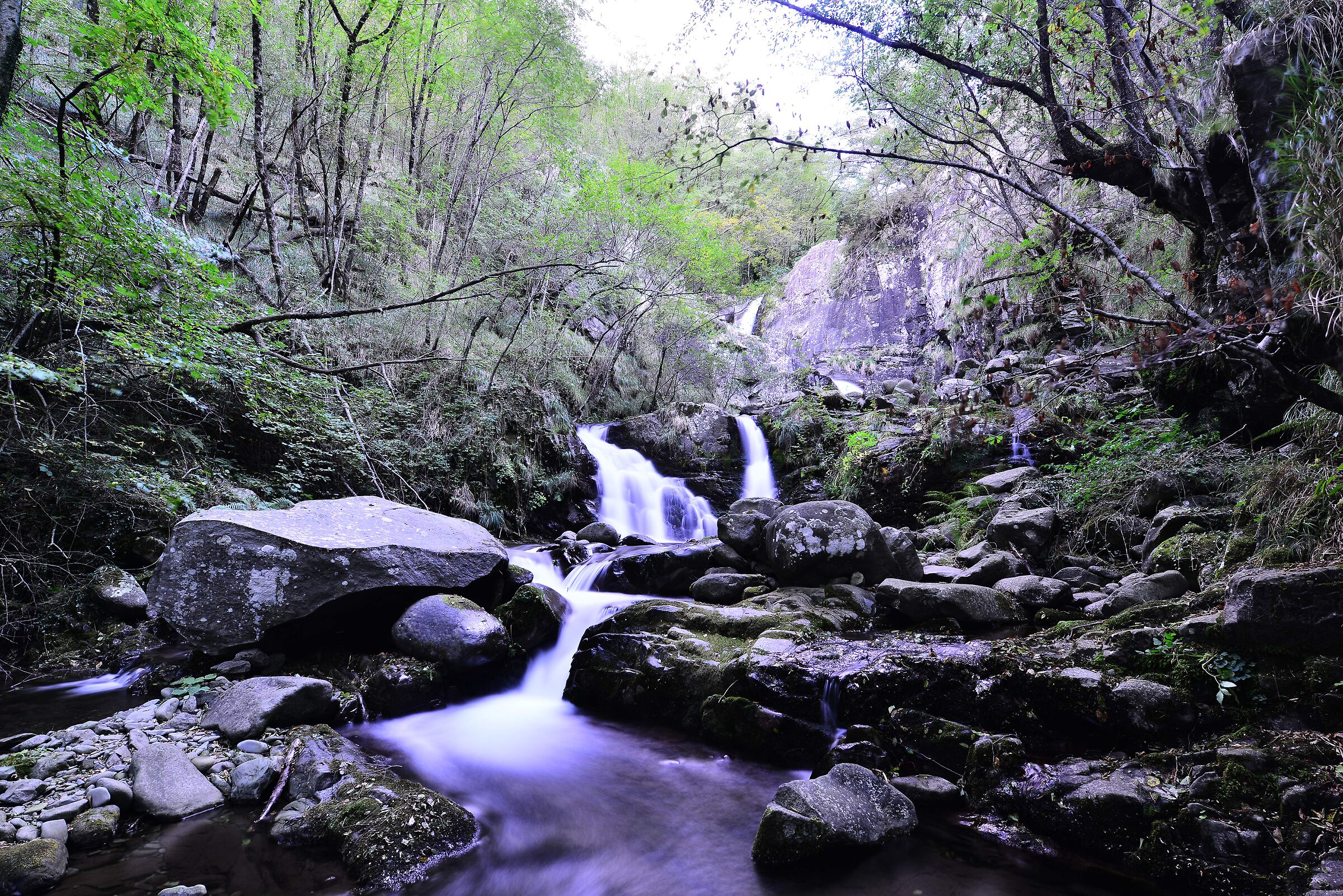 Torrent Acquetta