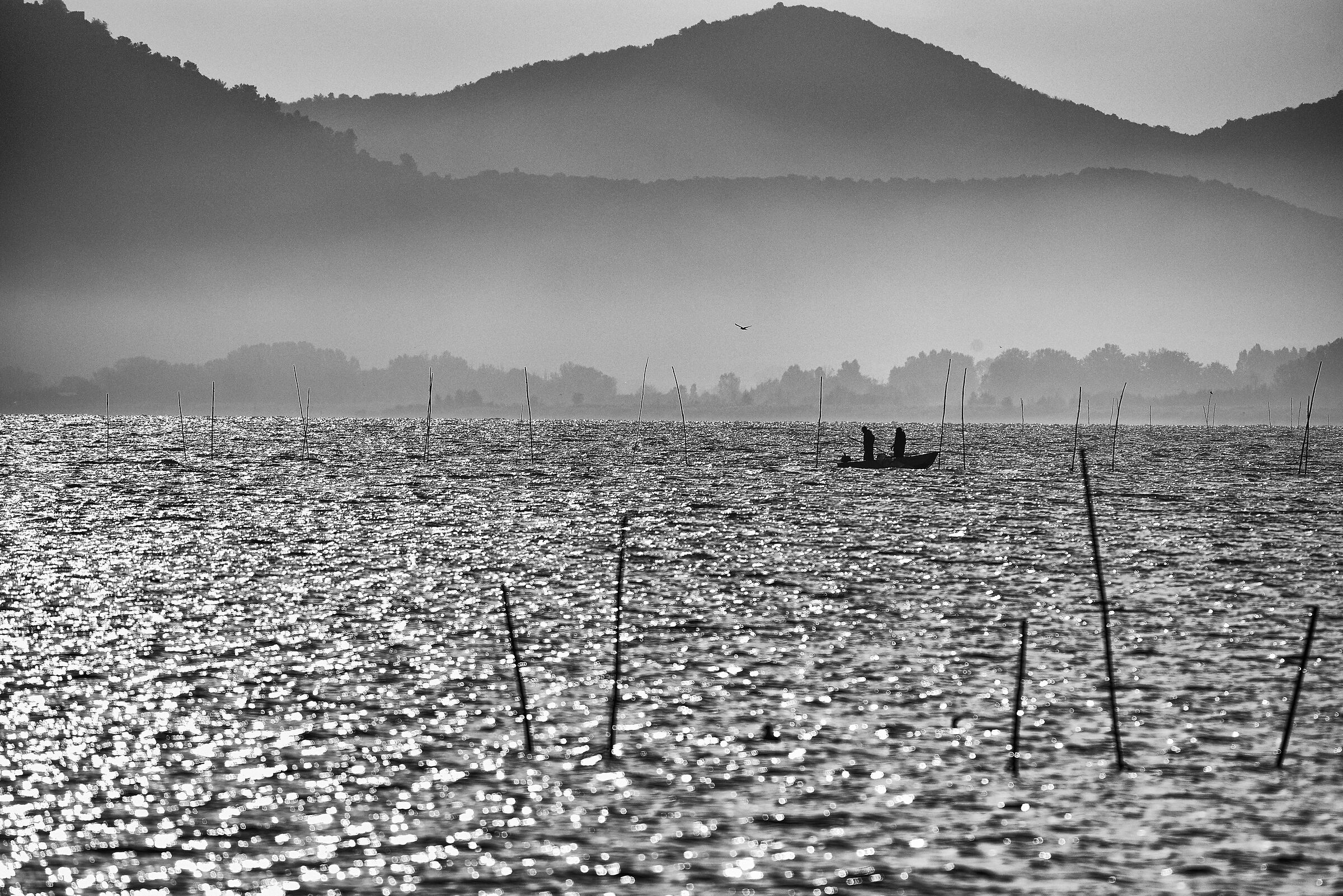 Lake Trasimeno1