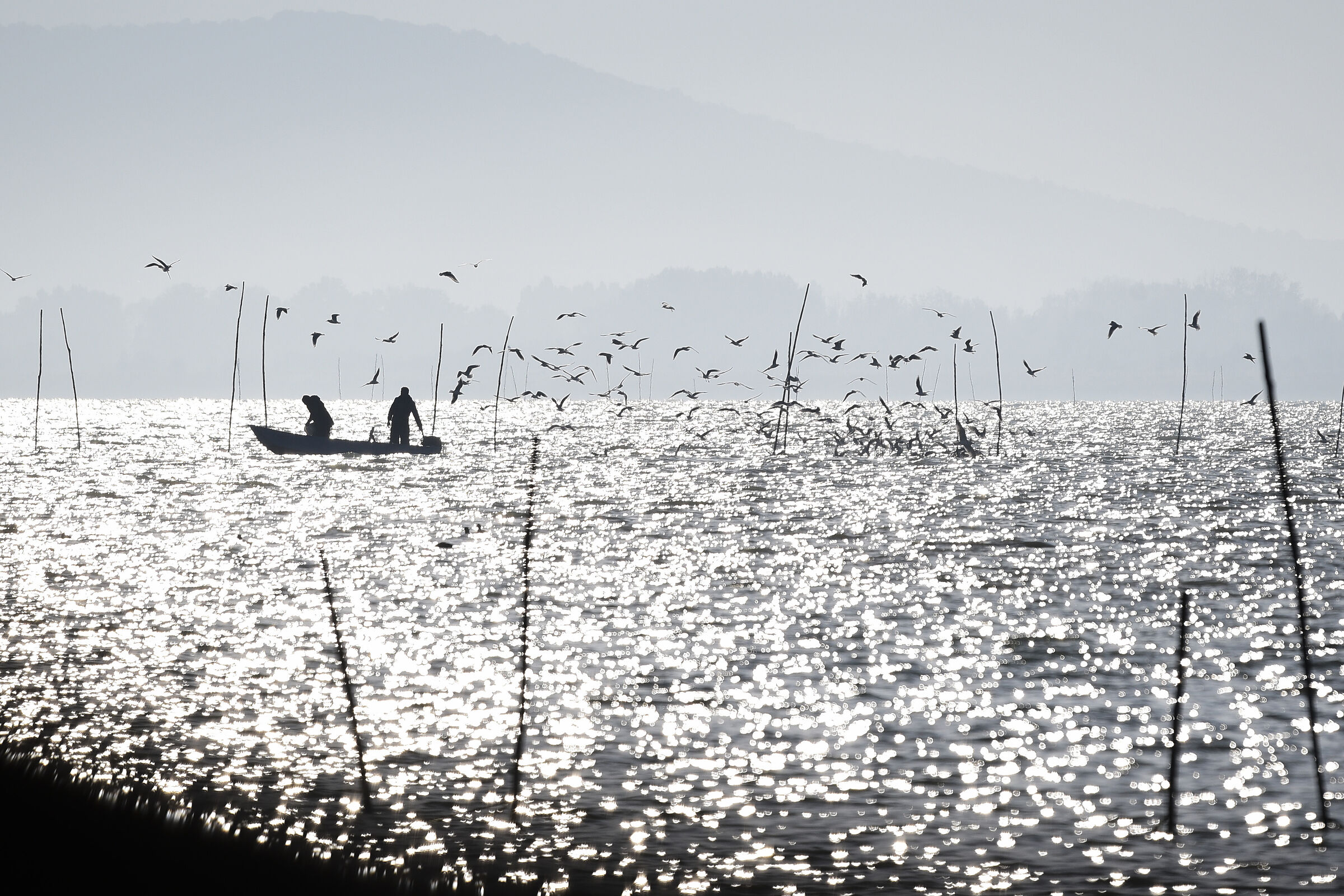 Lake Trasimeno2