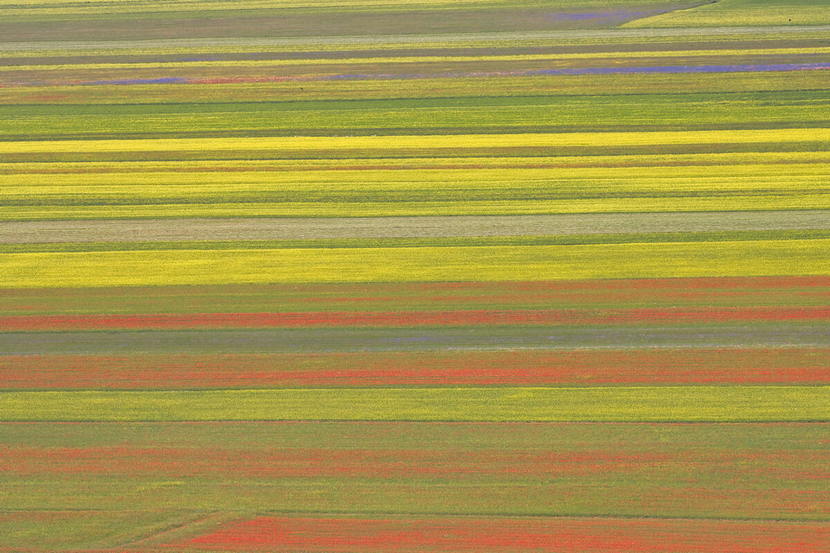 2 Castelluccio di Norcia 2021
