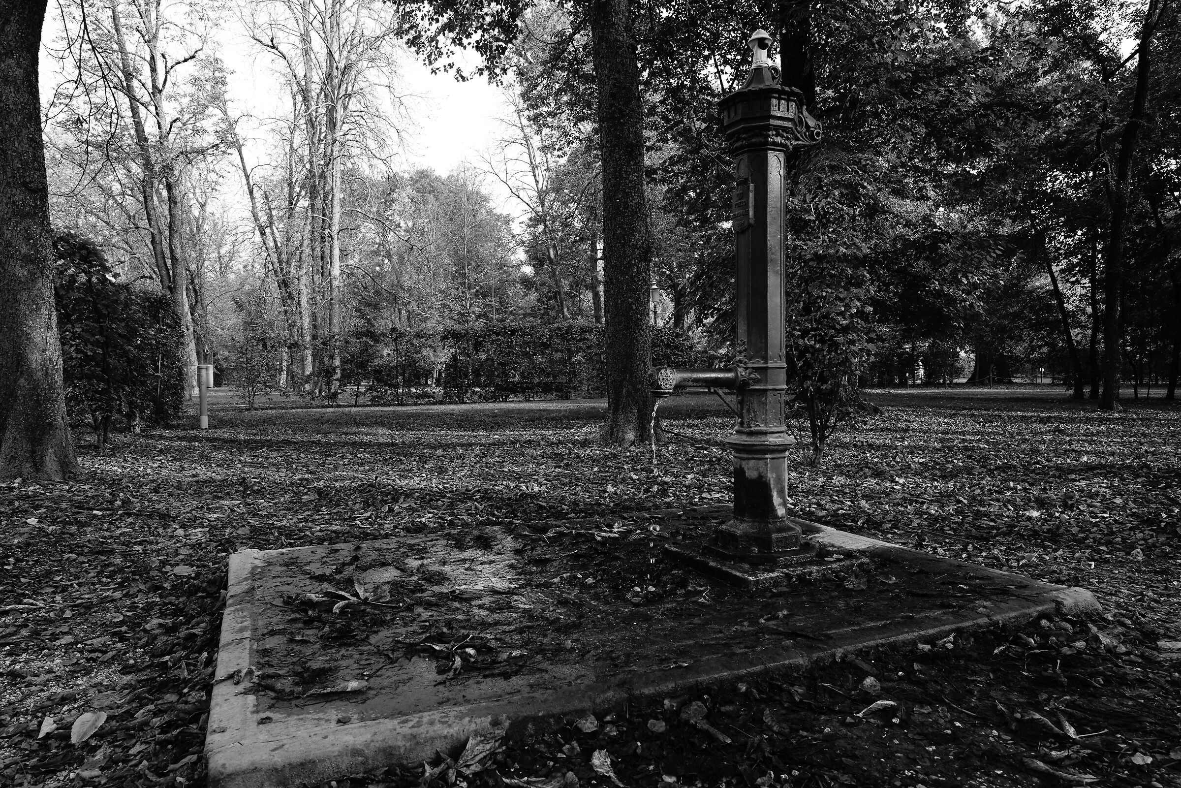 Fontana Parco Ducale