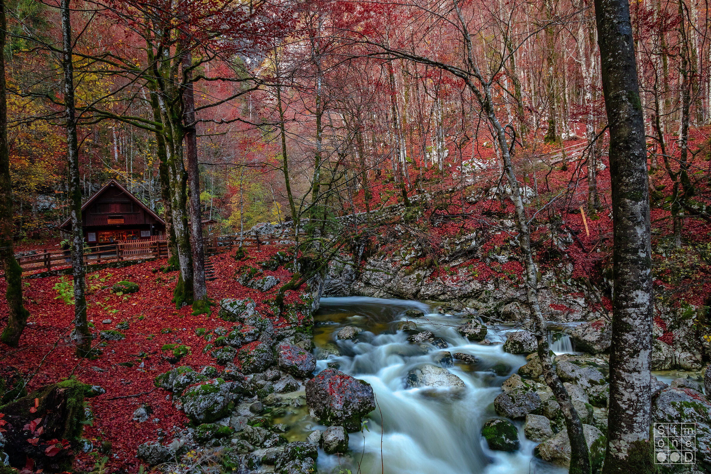 Sava Bohinjka 2