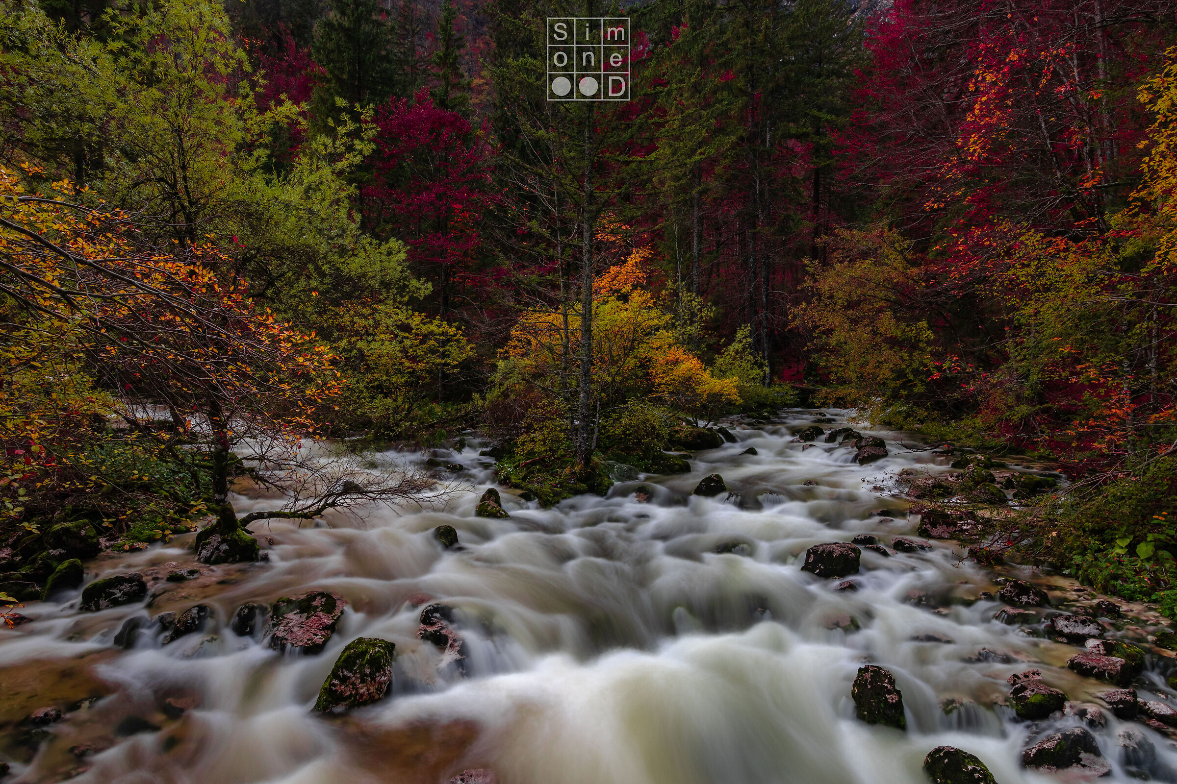 Sava Bohinjka 4