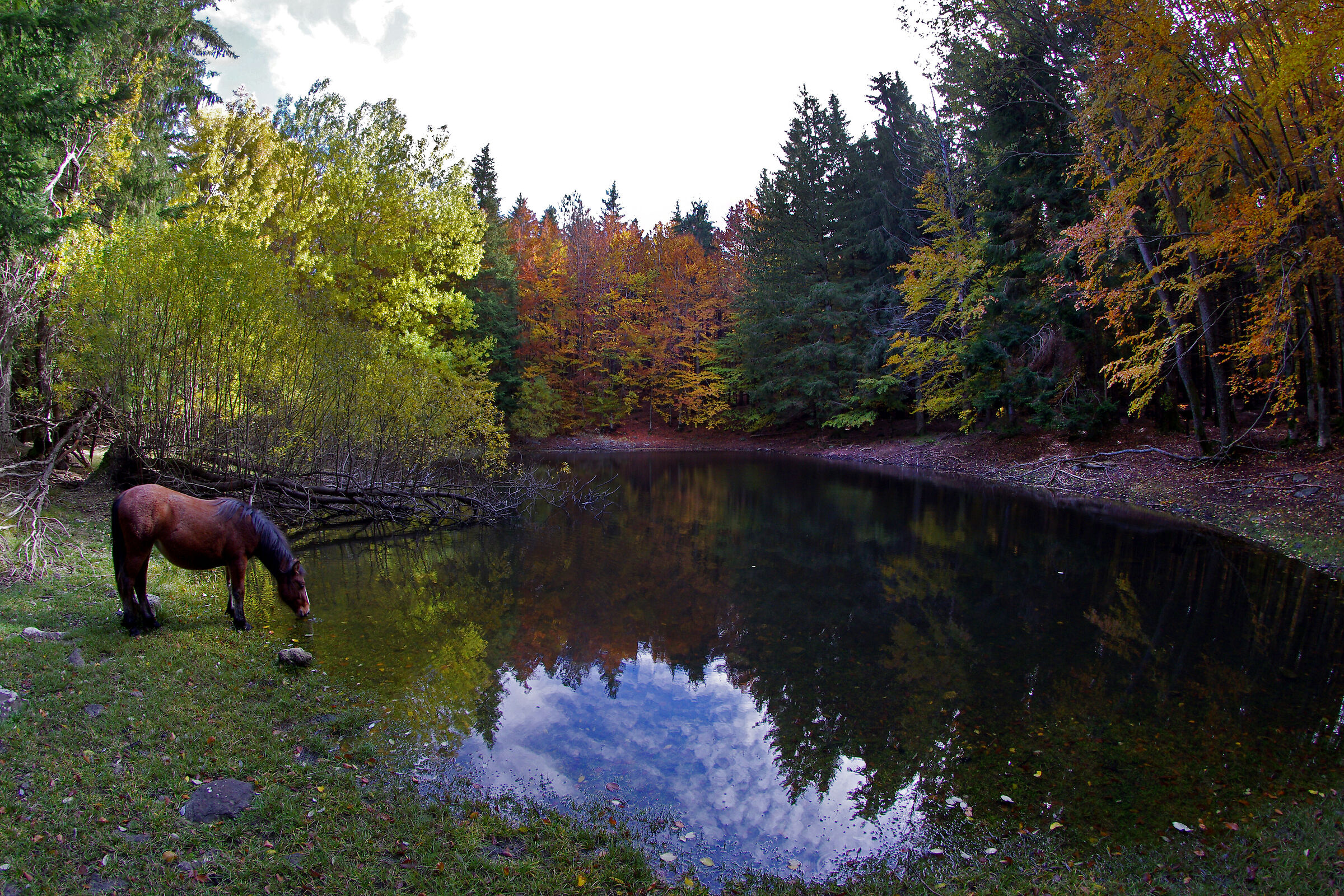 Autunno in Val d'Aveto (ge)