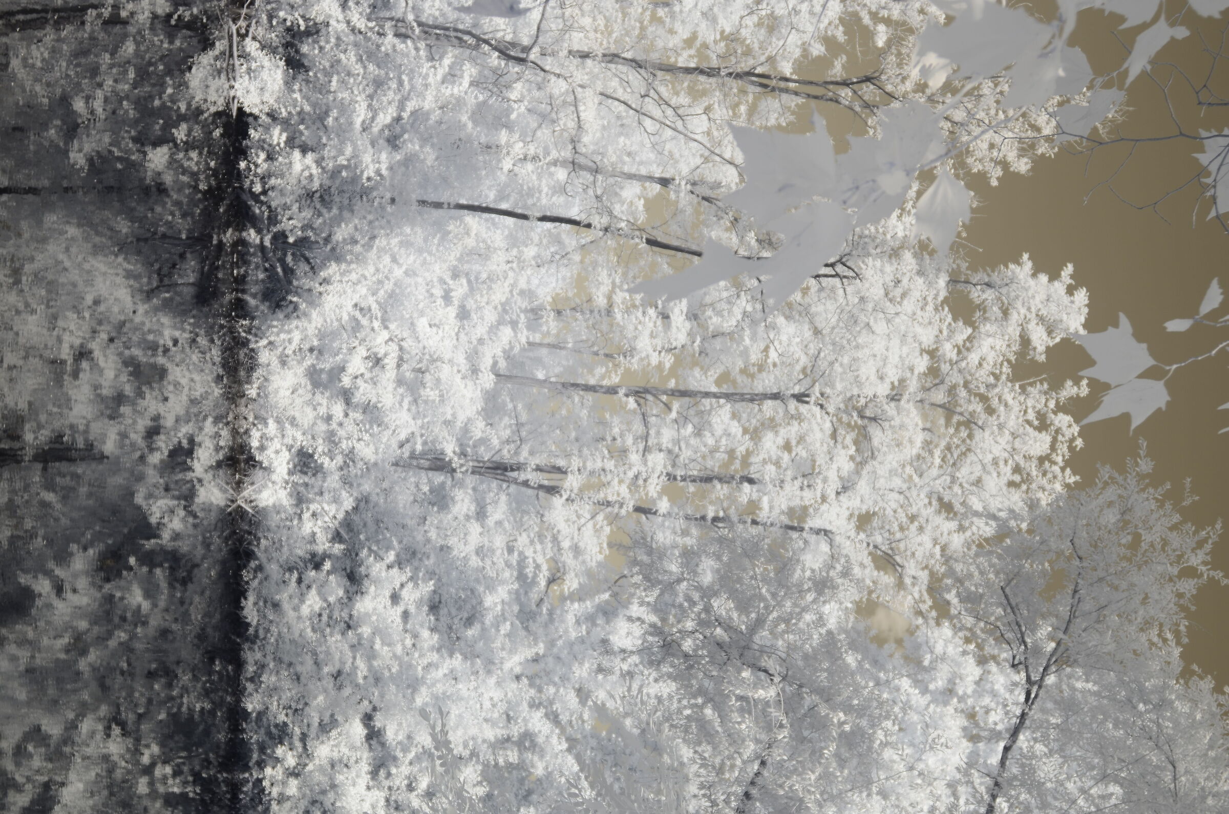 Sugli argini del fiume Chiese I