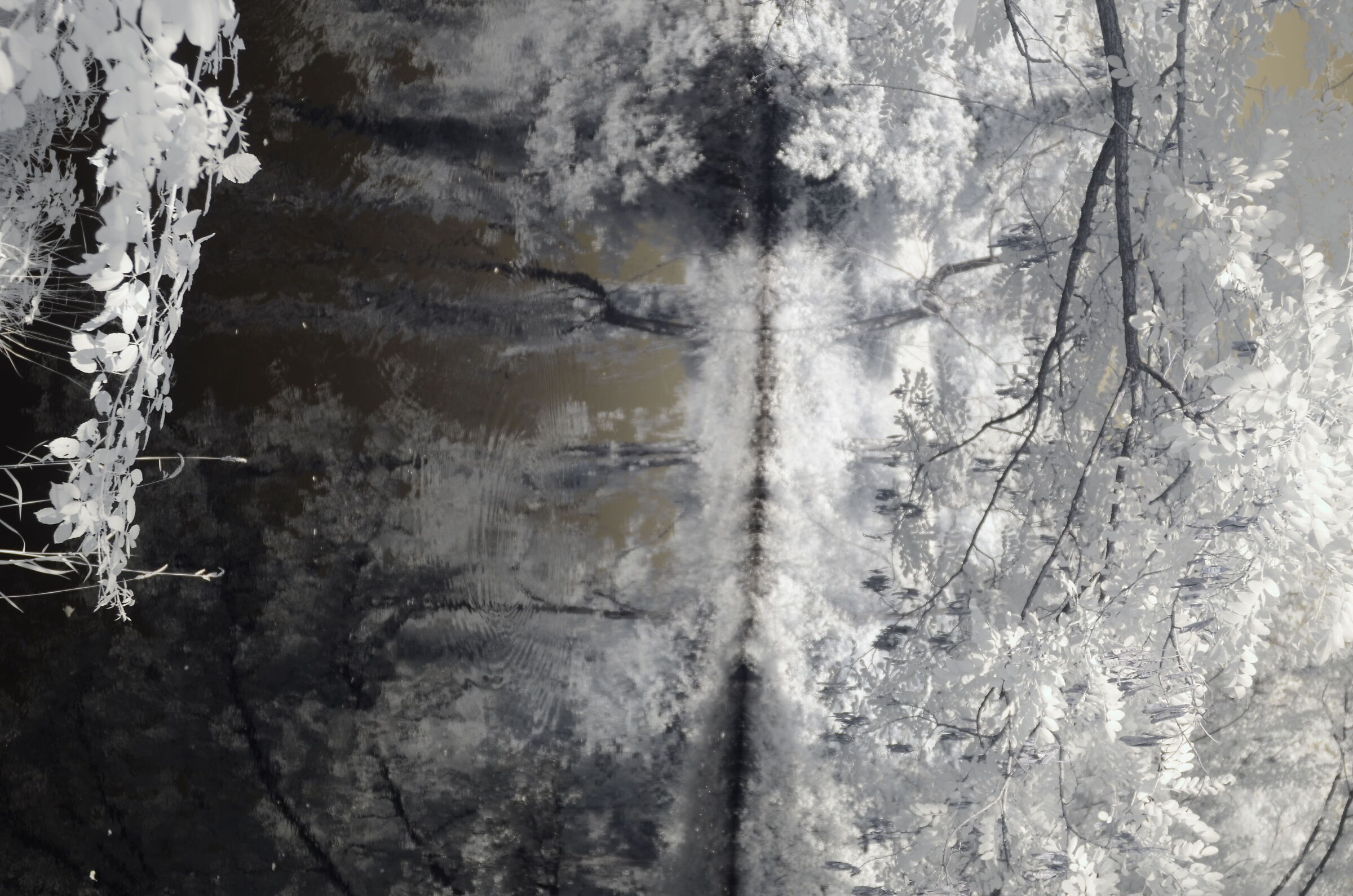 Sugli argini del fiume Chiese II