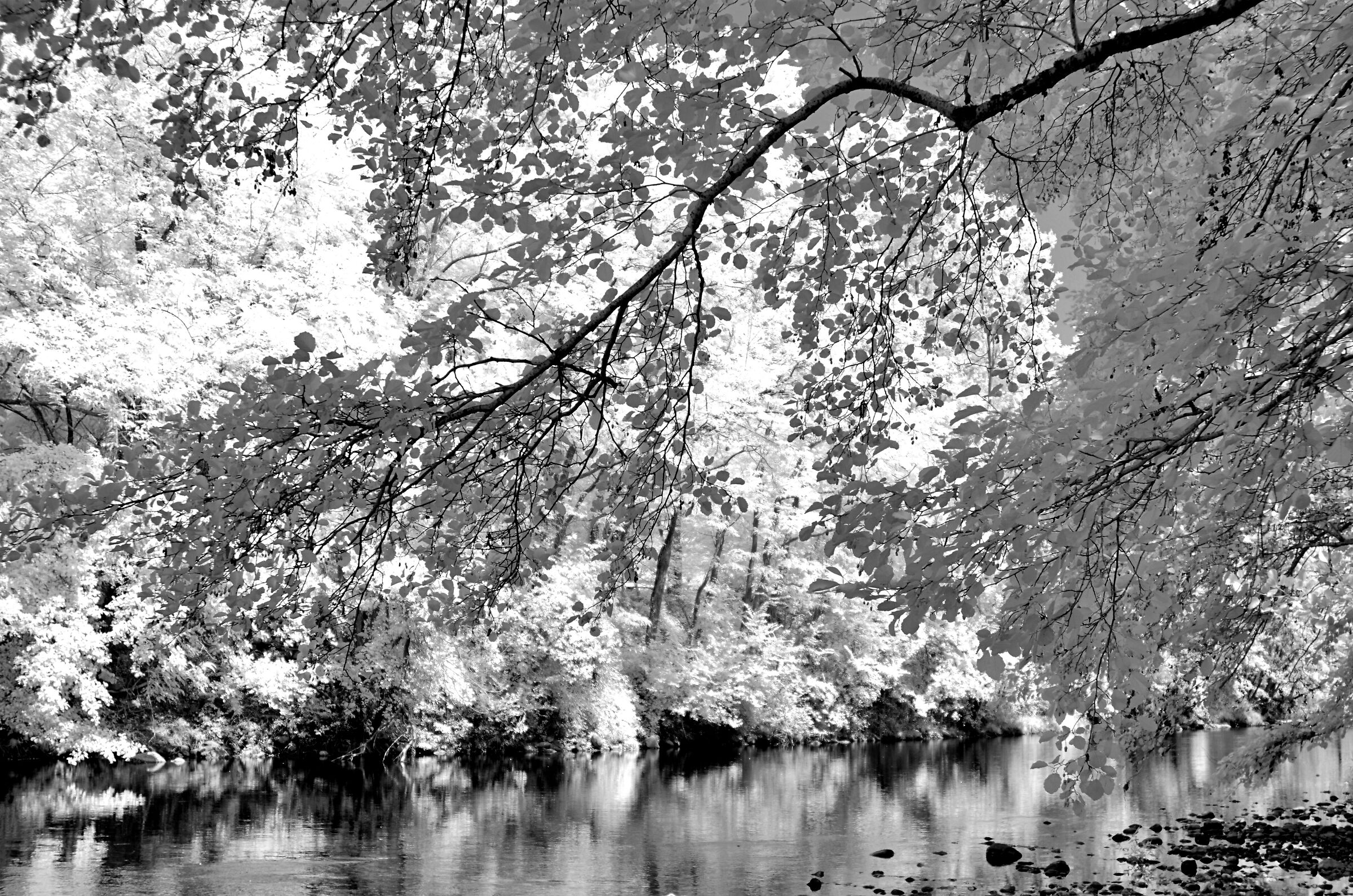 On the banks of the river Chiese III