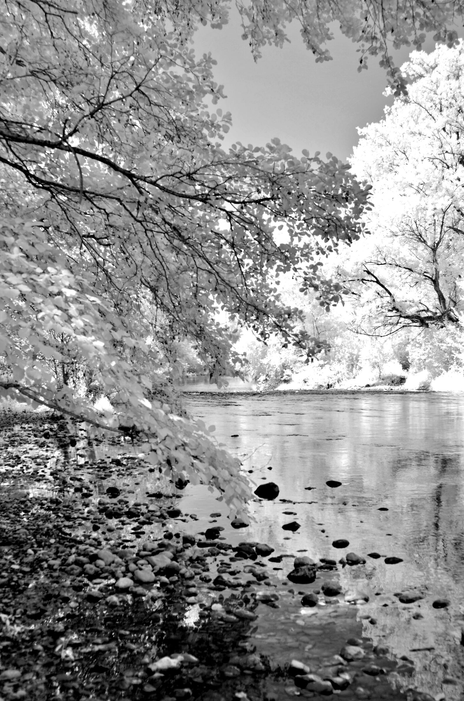 On the banks of the river Chiese IV