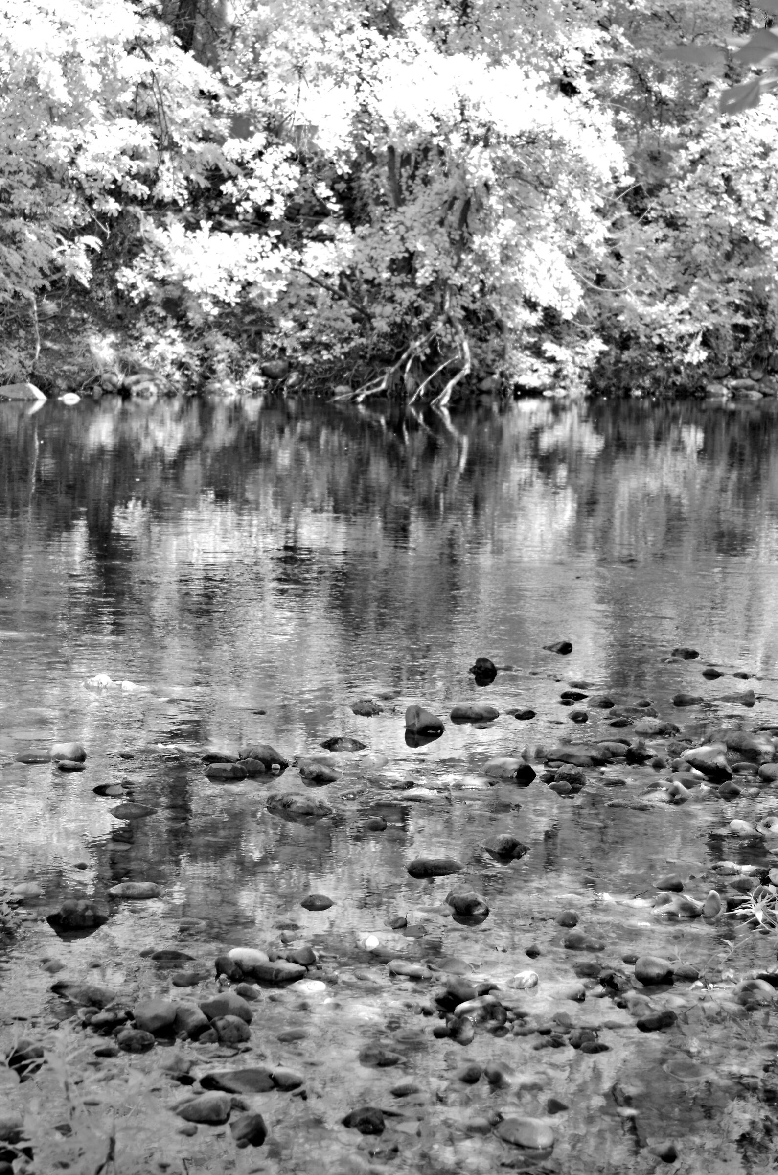 Sugli argini del fiume Chiese V