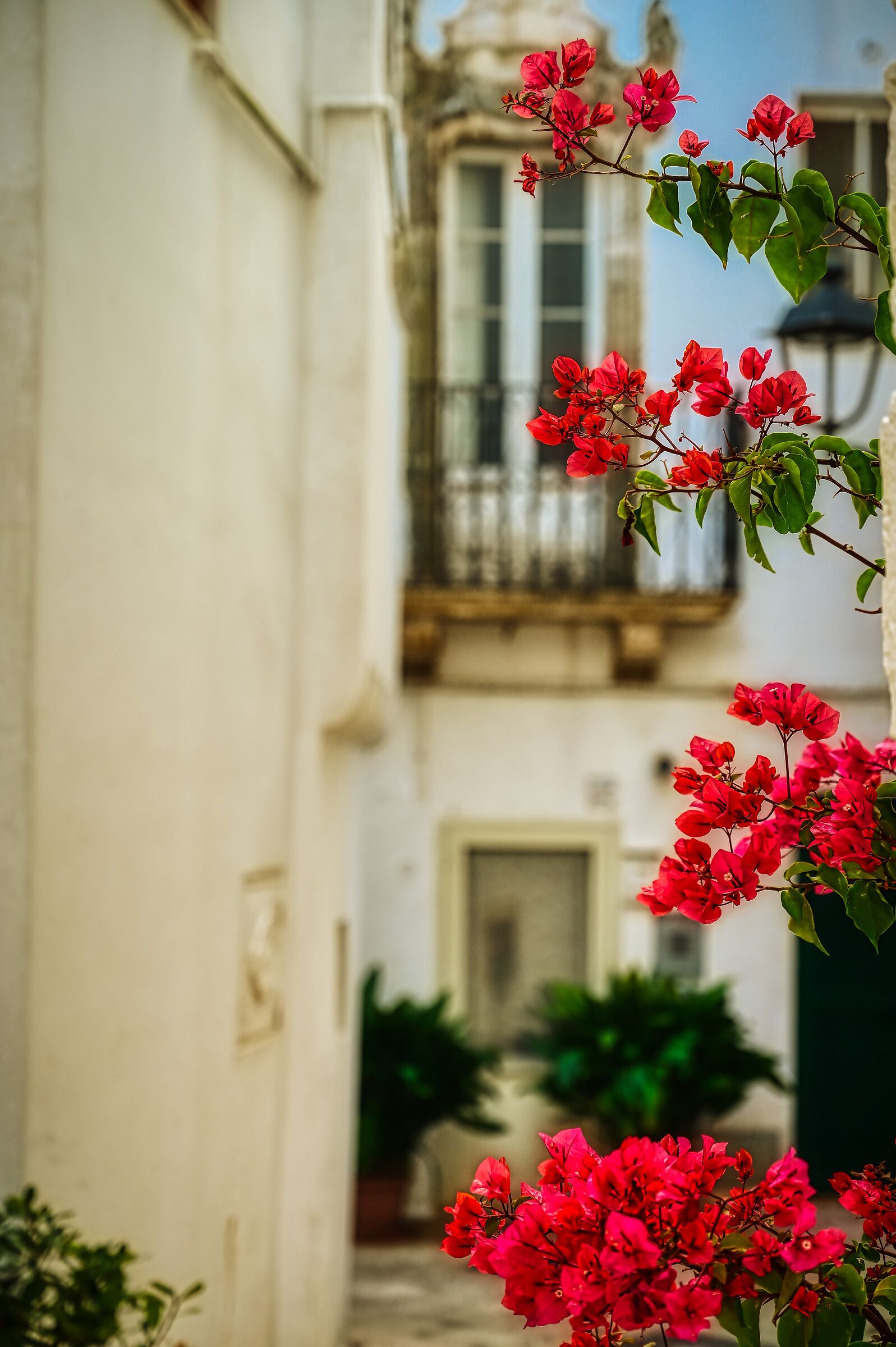 Martina Franca alla controra