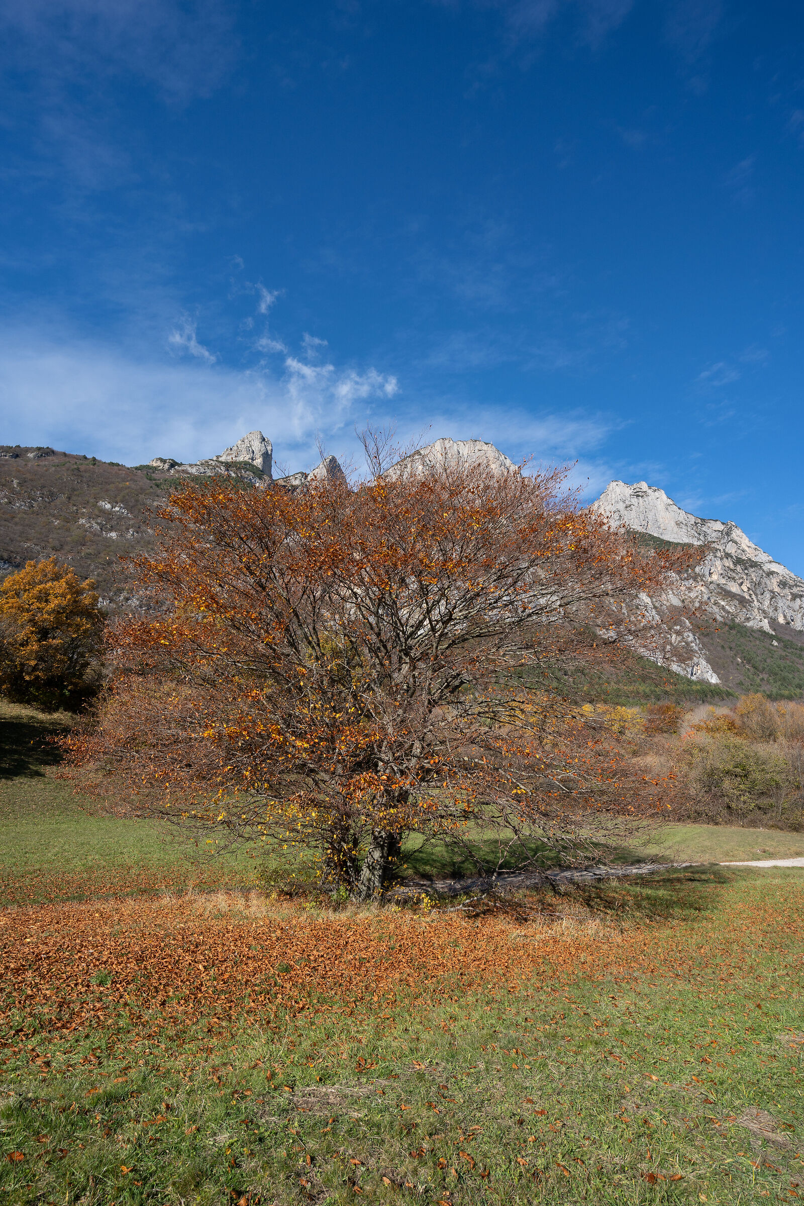 Autunno ai piedi della Paganella (Trentino - Italia)