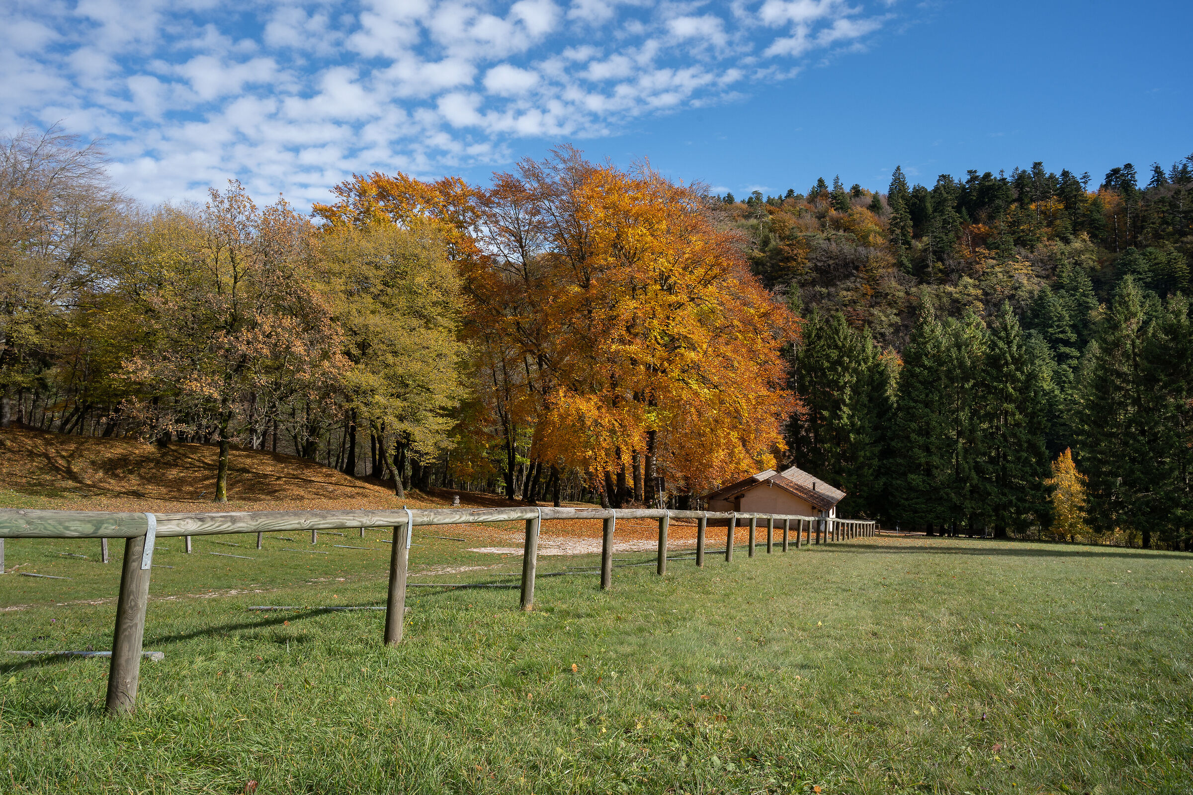Passeggiata autunnale