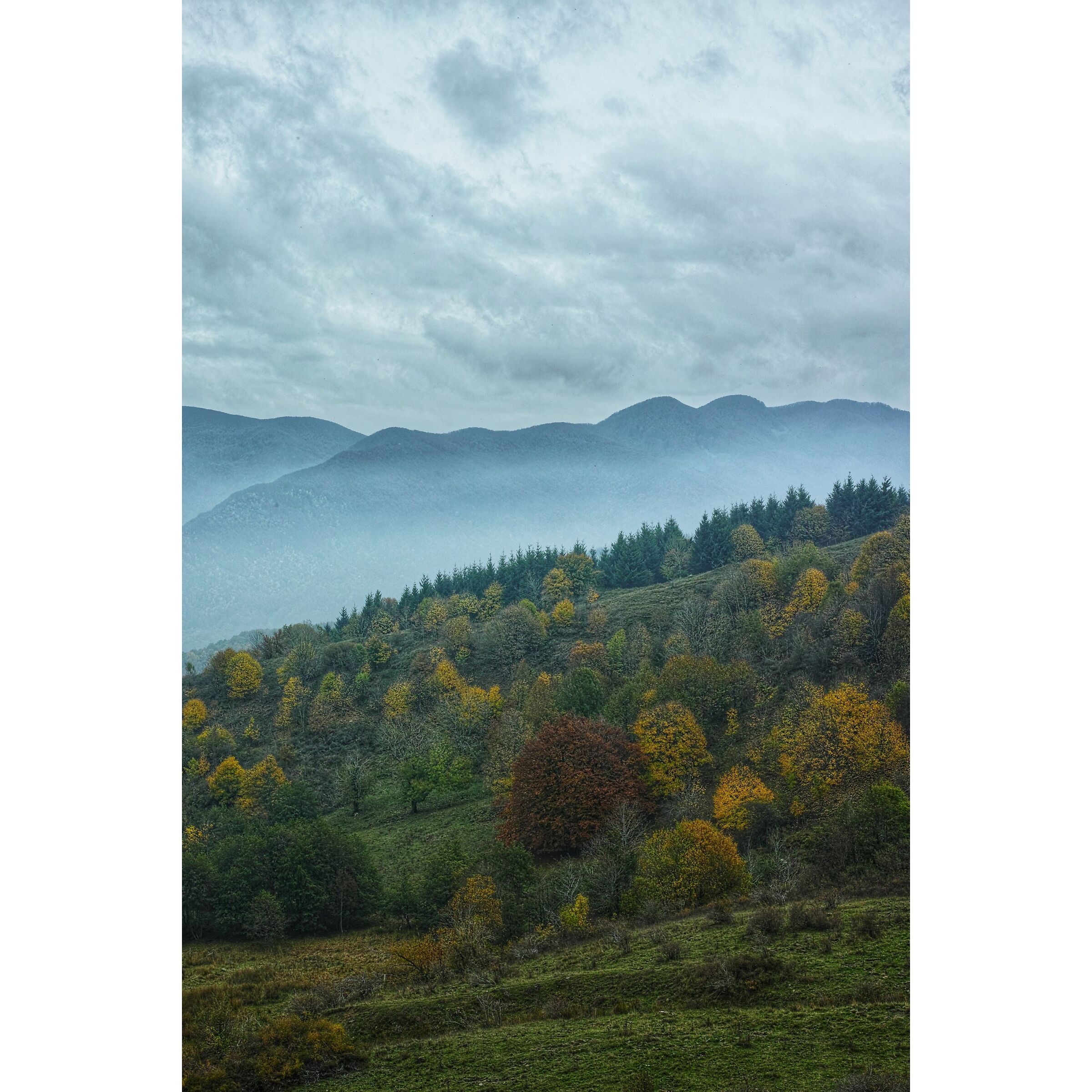 Untitled Photo