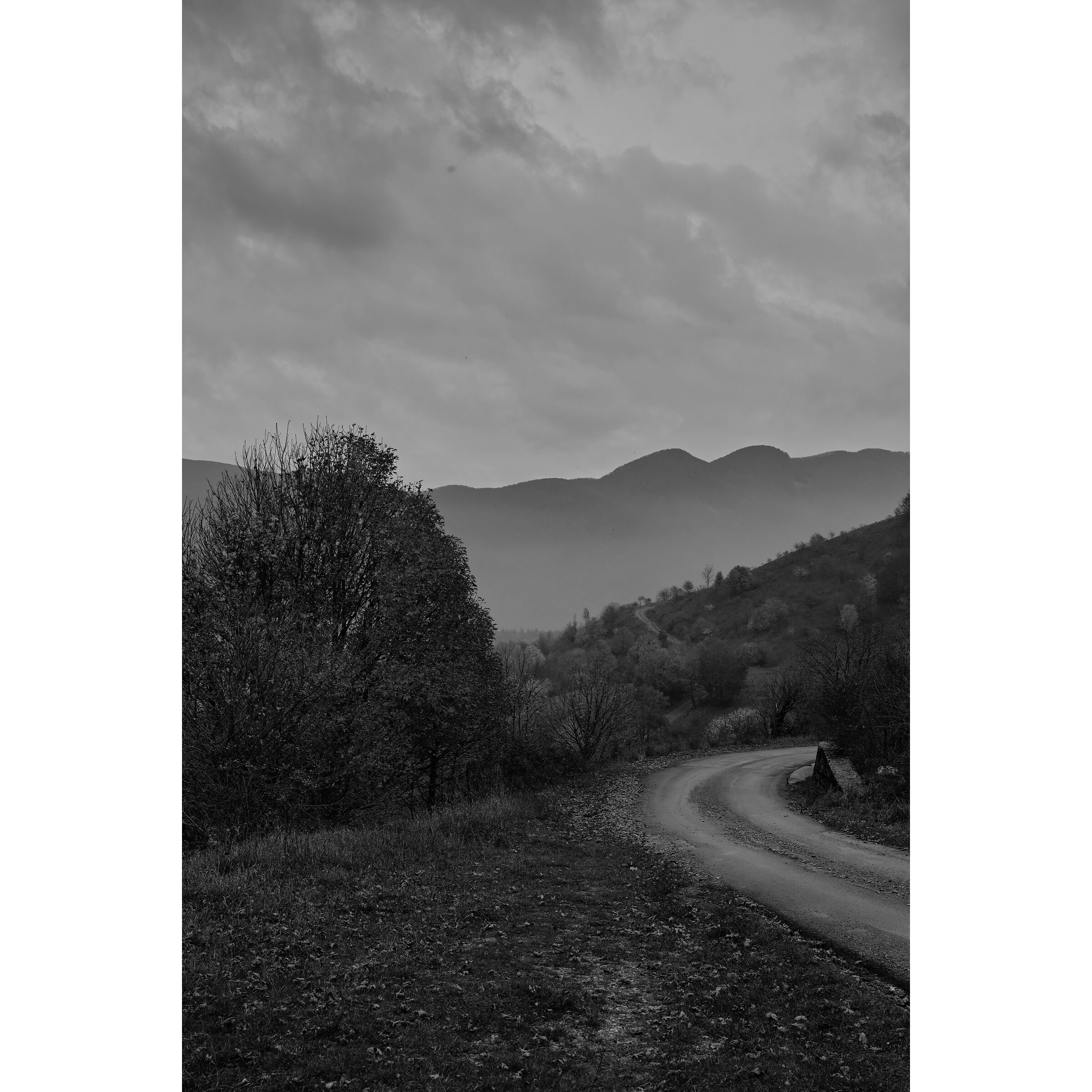 Untitled Photo