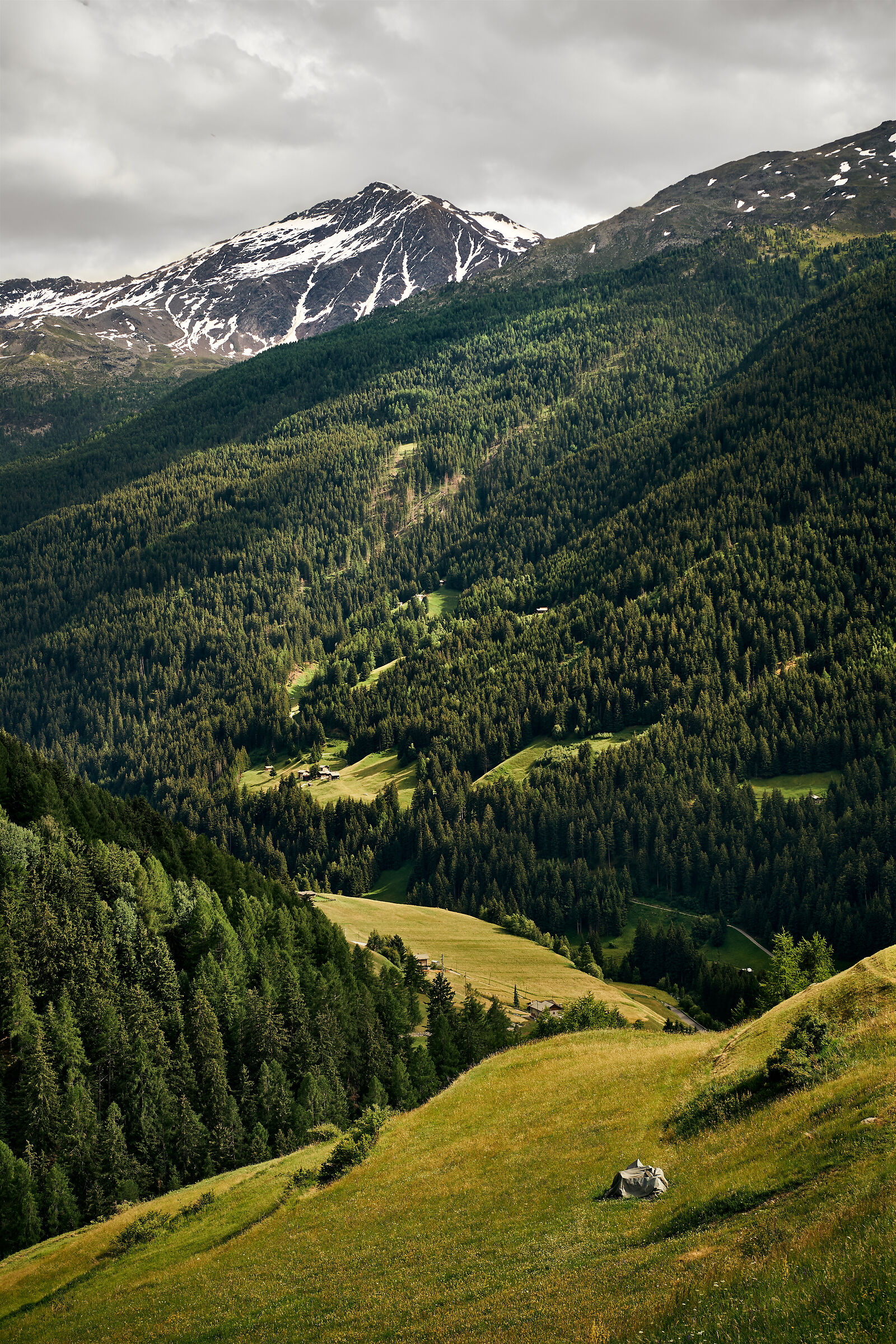 Stelvio National Park