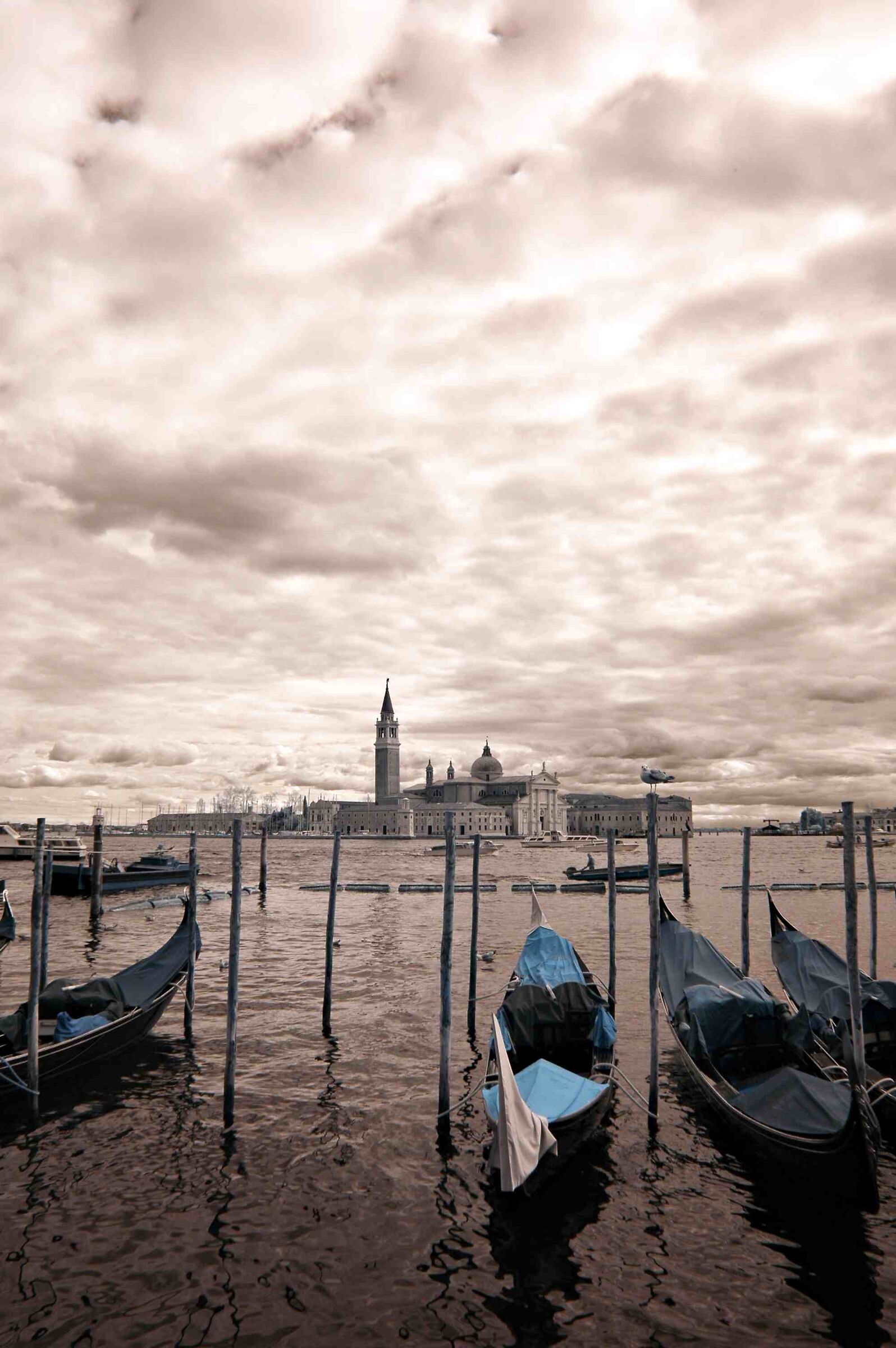Gondole da Piazza San Marco I