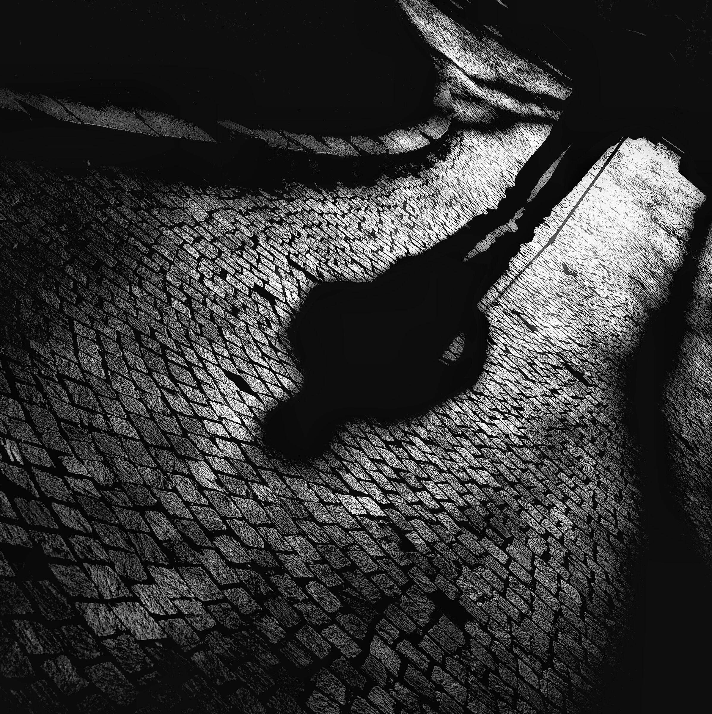 Untitled Photo