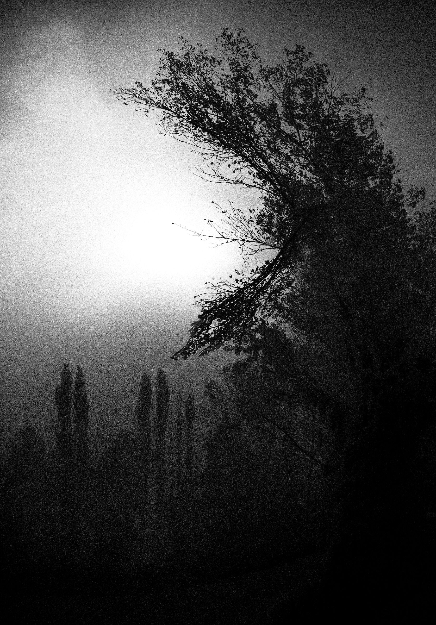 Untitled Photo