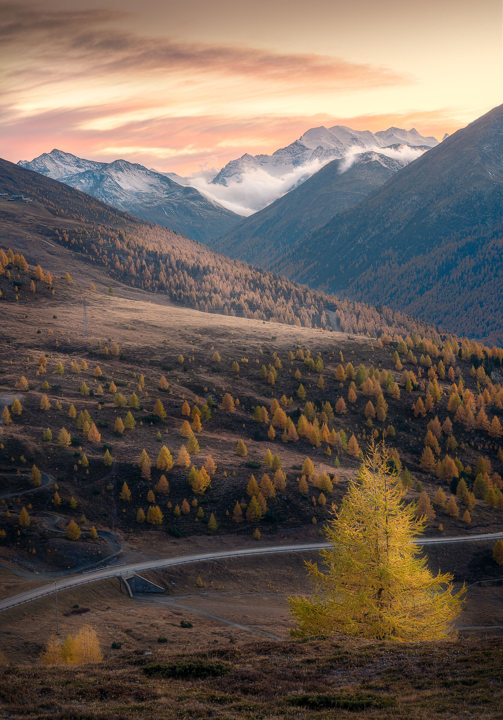 Golden Livigno