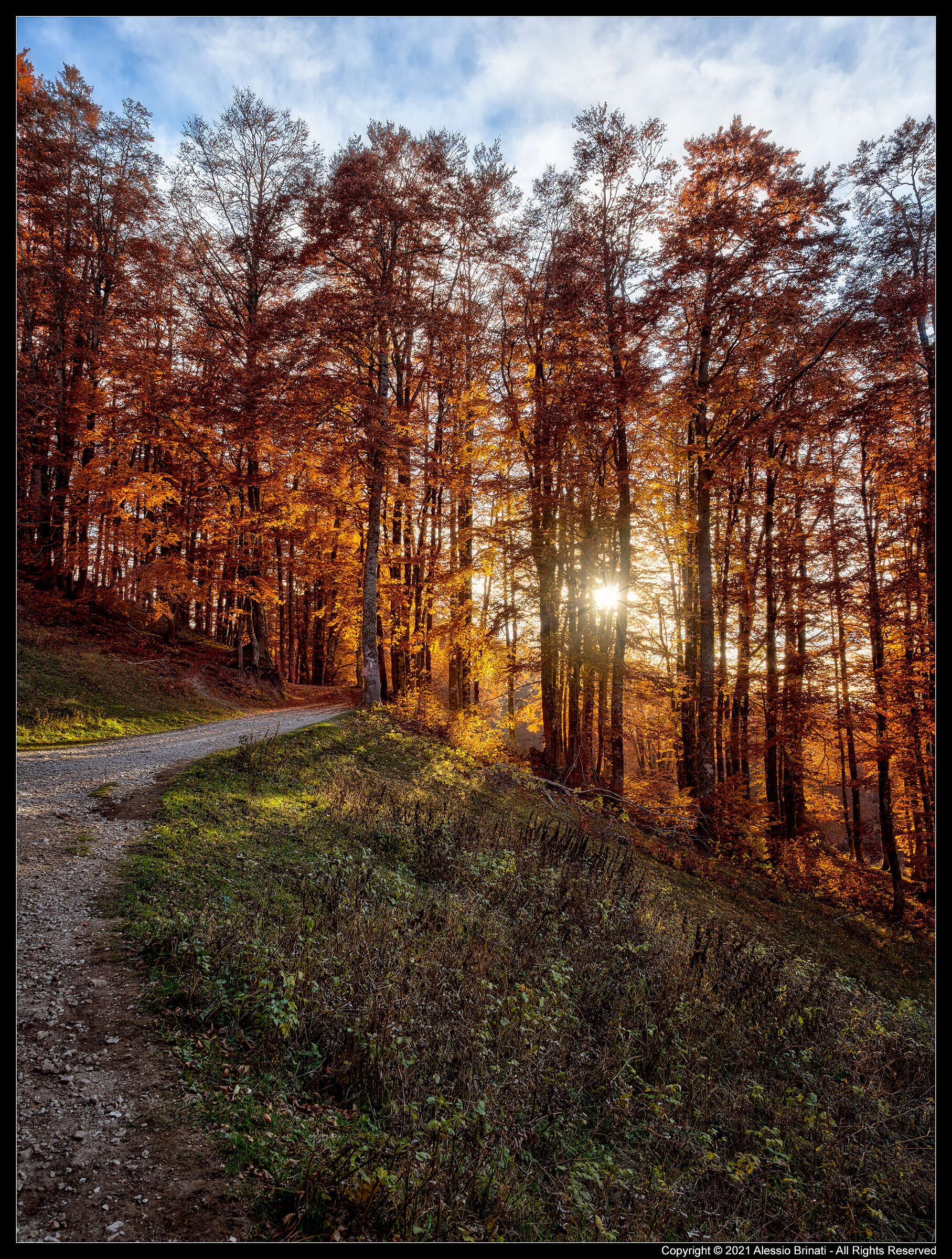 The Colors of Autumn