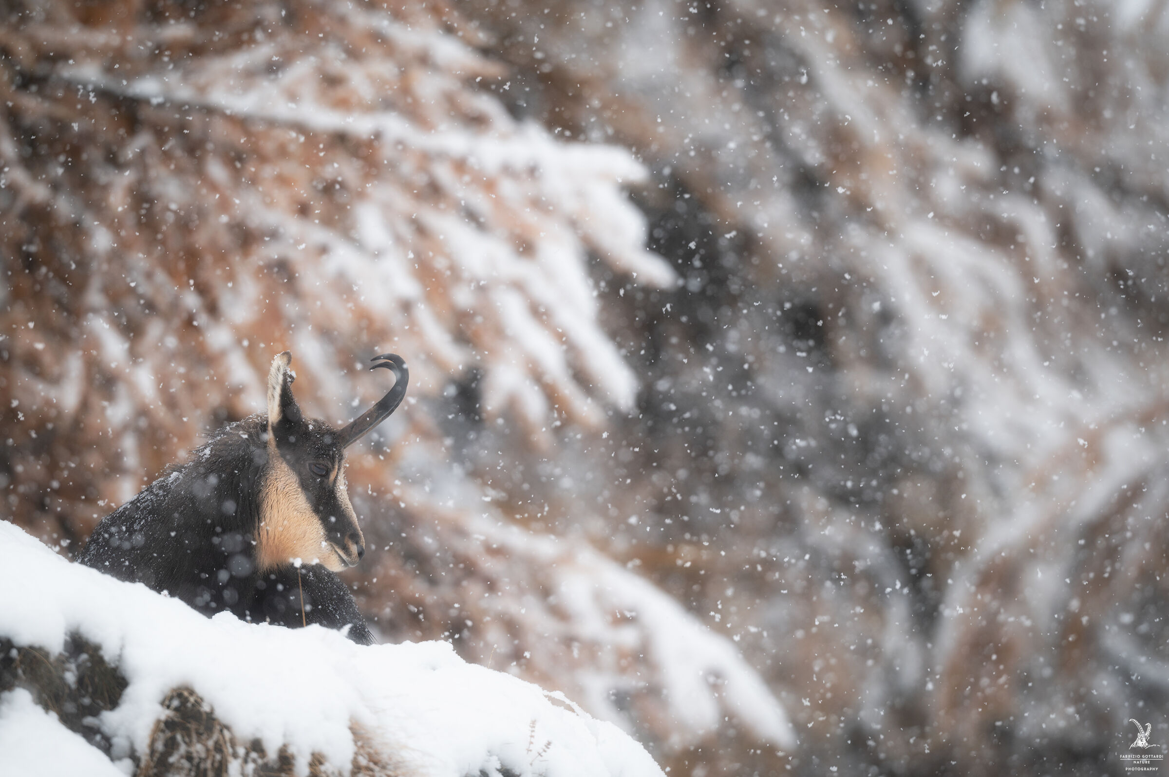 Prima neve autunnale