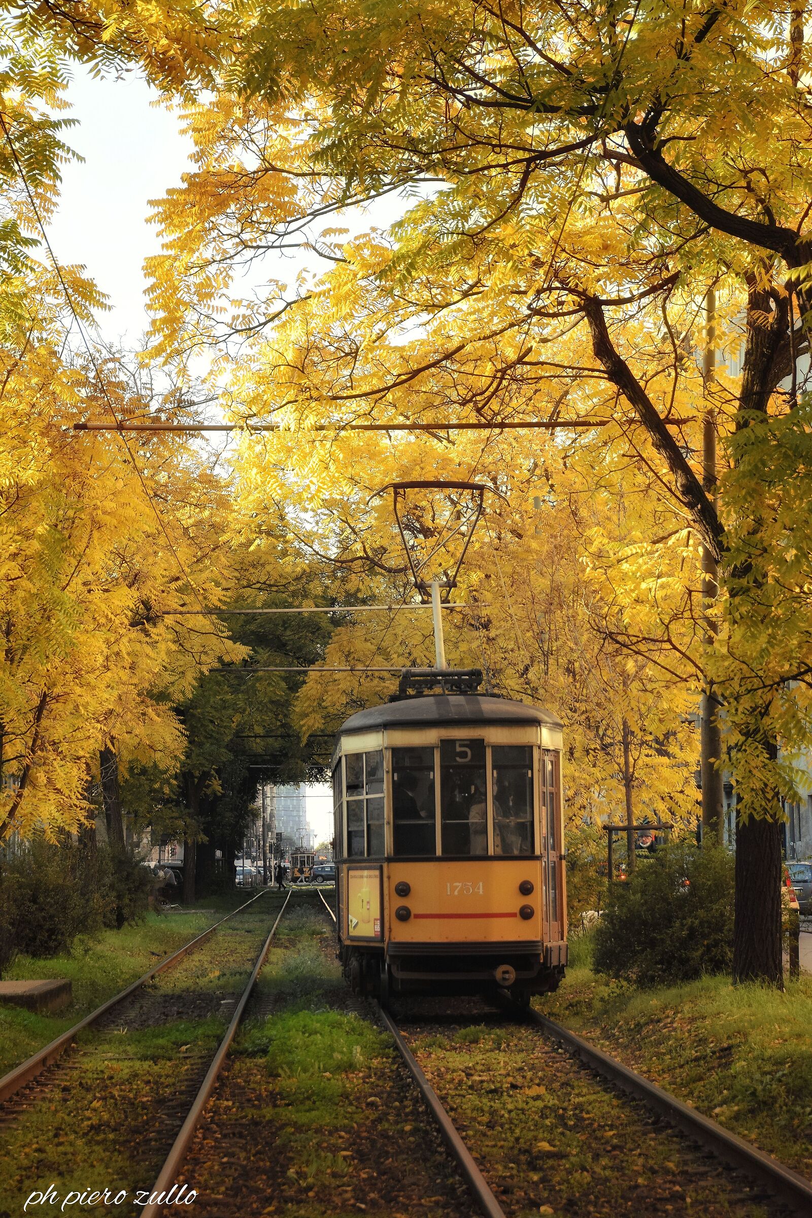 Taches at the tram and poeu of that you want.
