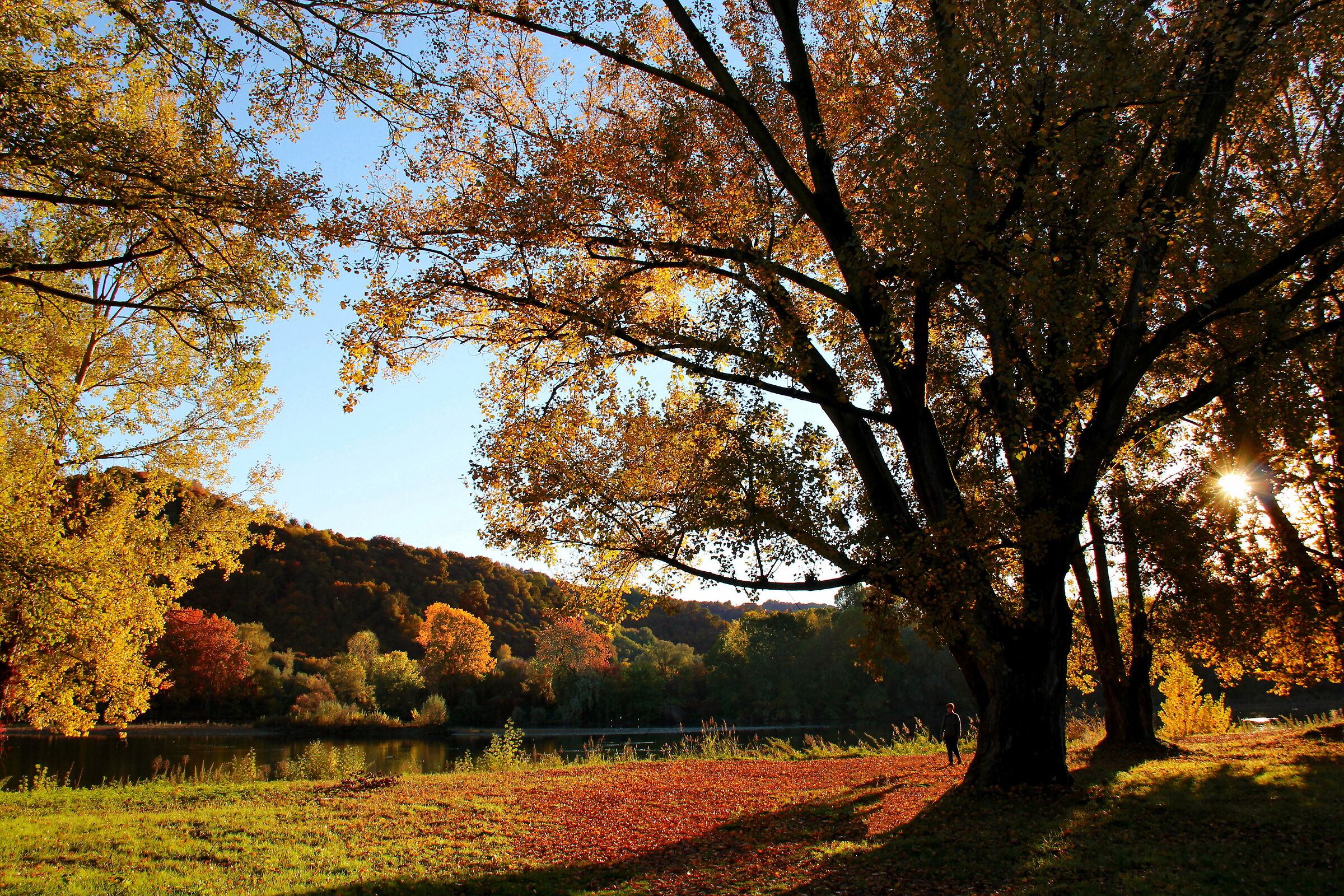 Red carpet casereccio