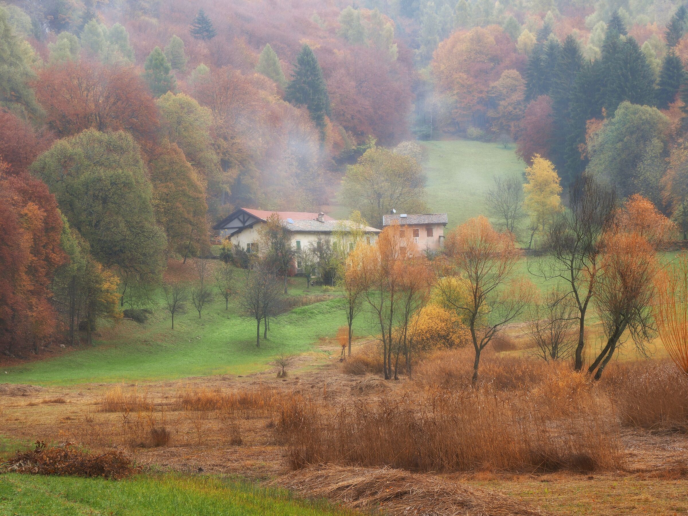 La stagione della mia vita