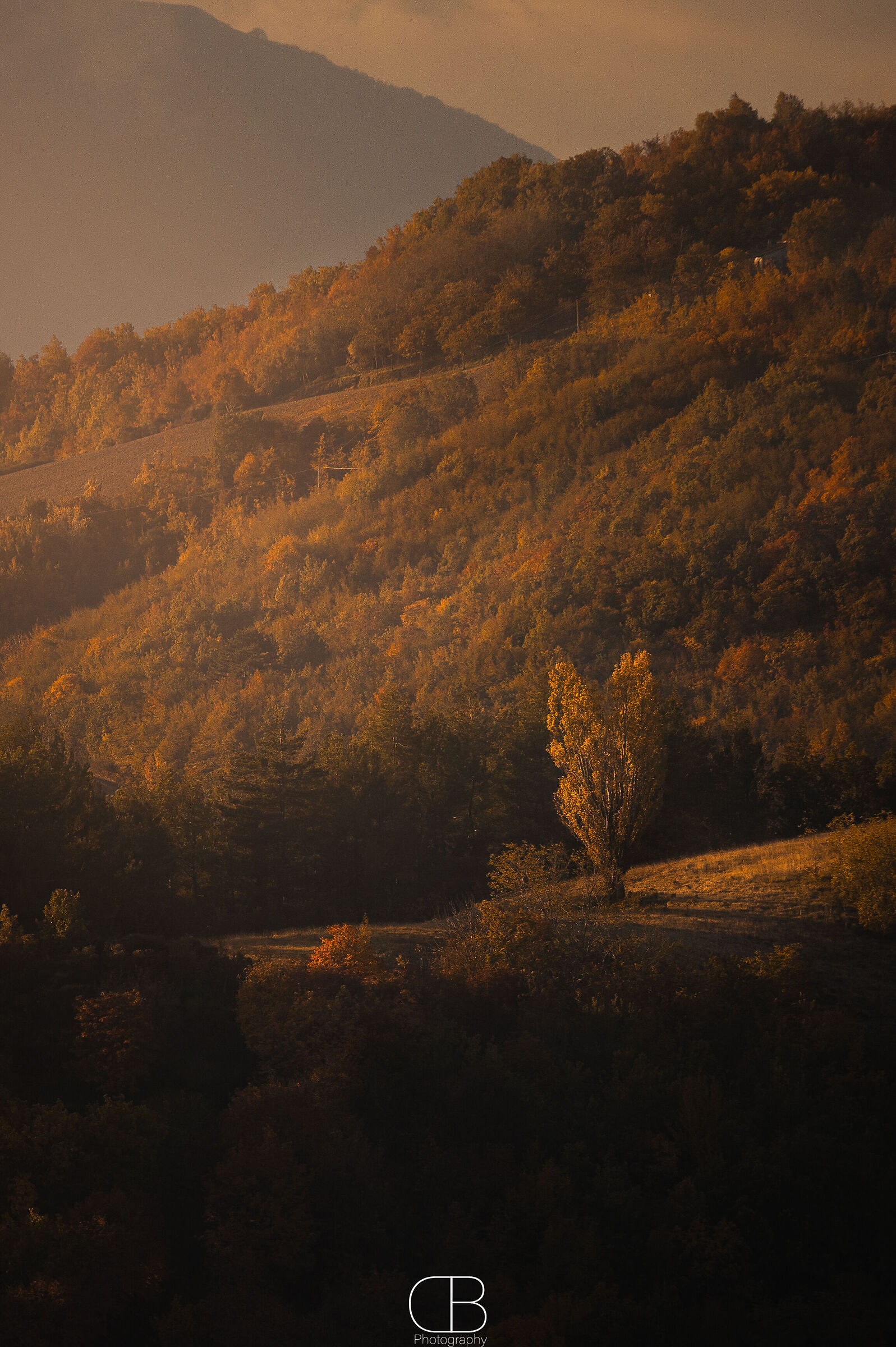 Alone in the colora