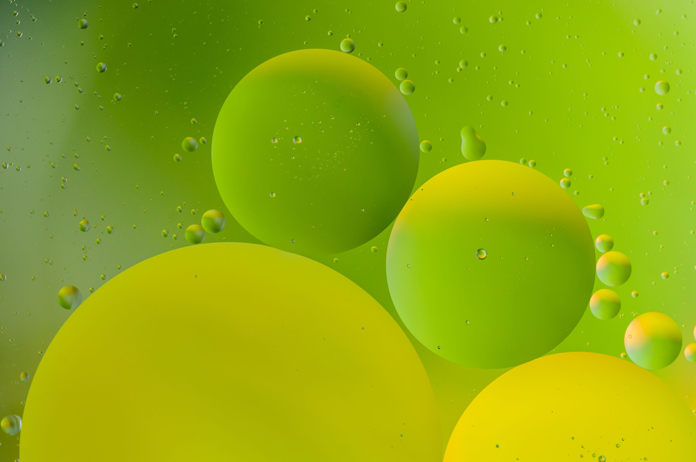 Giochi di colori nell'olio