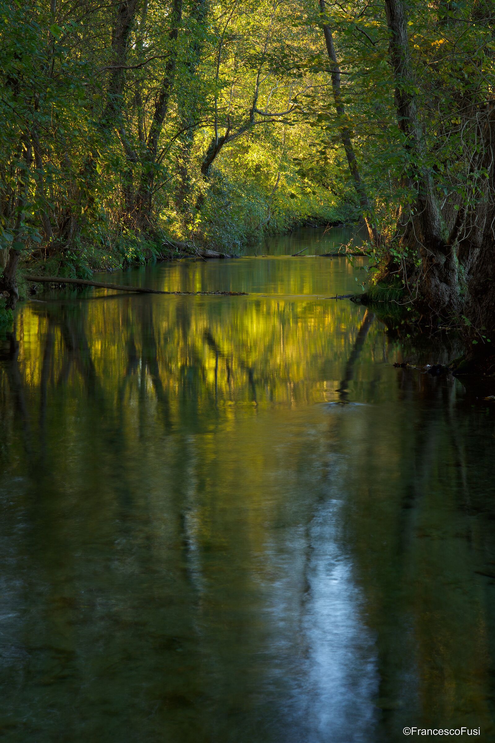 A quiet autumn stream...
